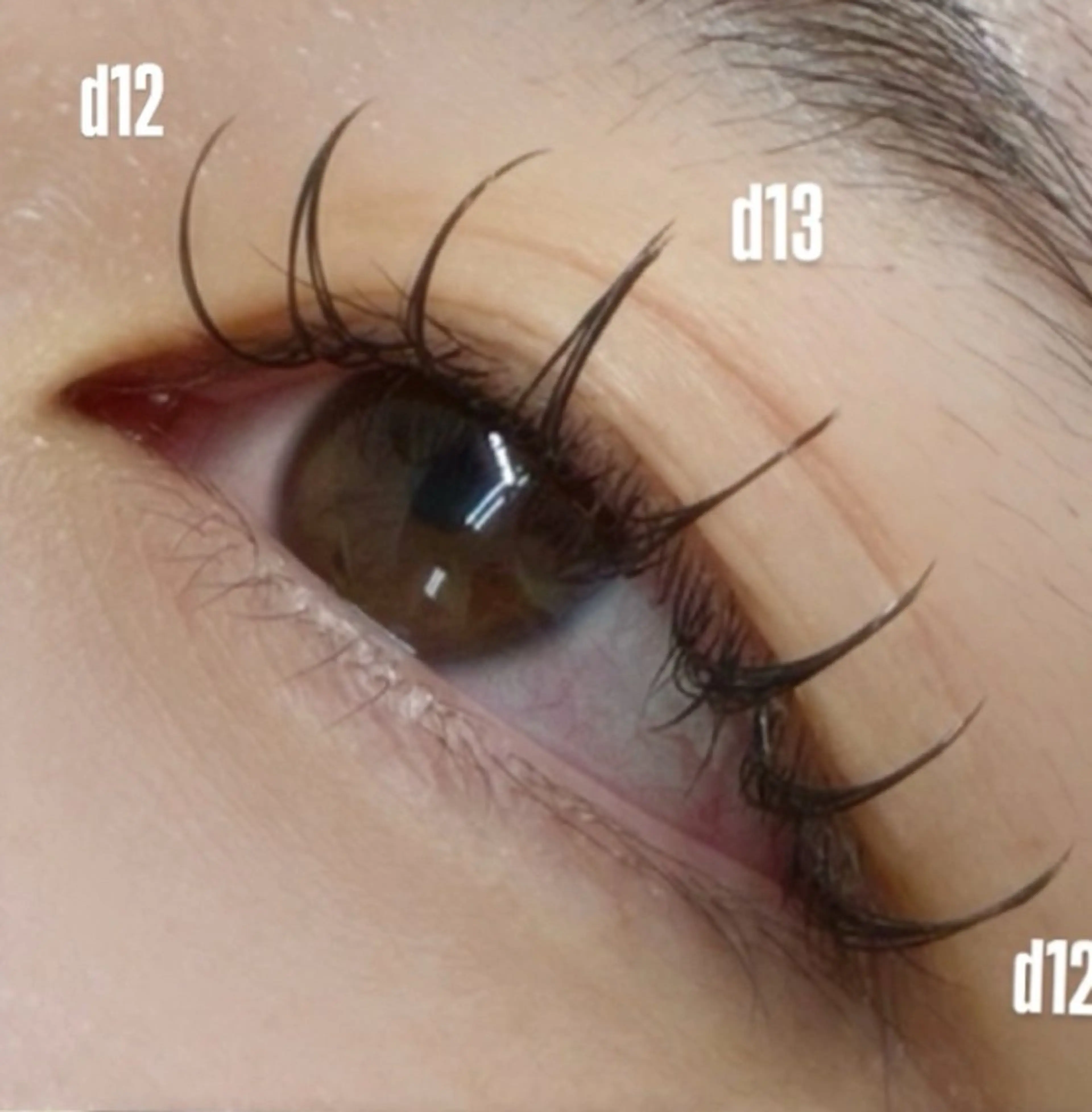 マツエク・マツパ MAQUIA 桑野店 和久のマツエク・マツパデザイン