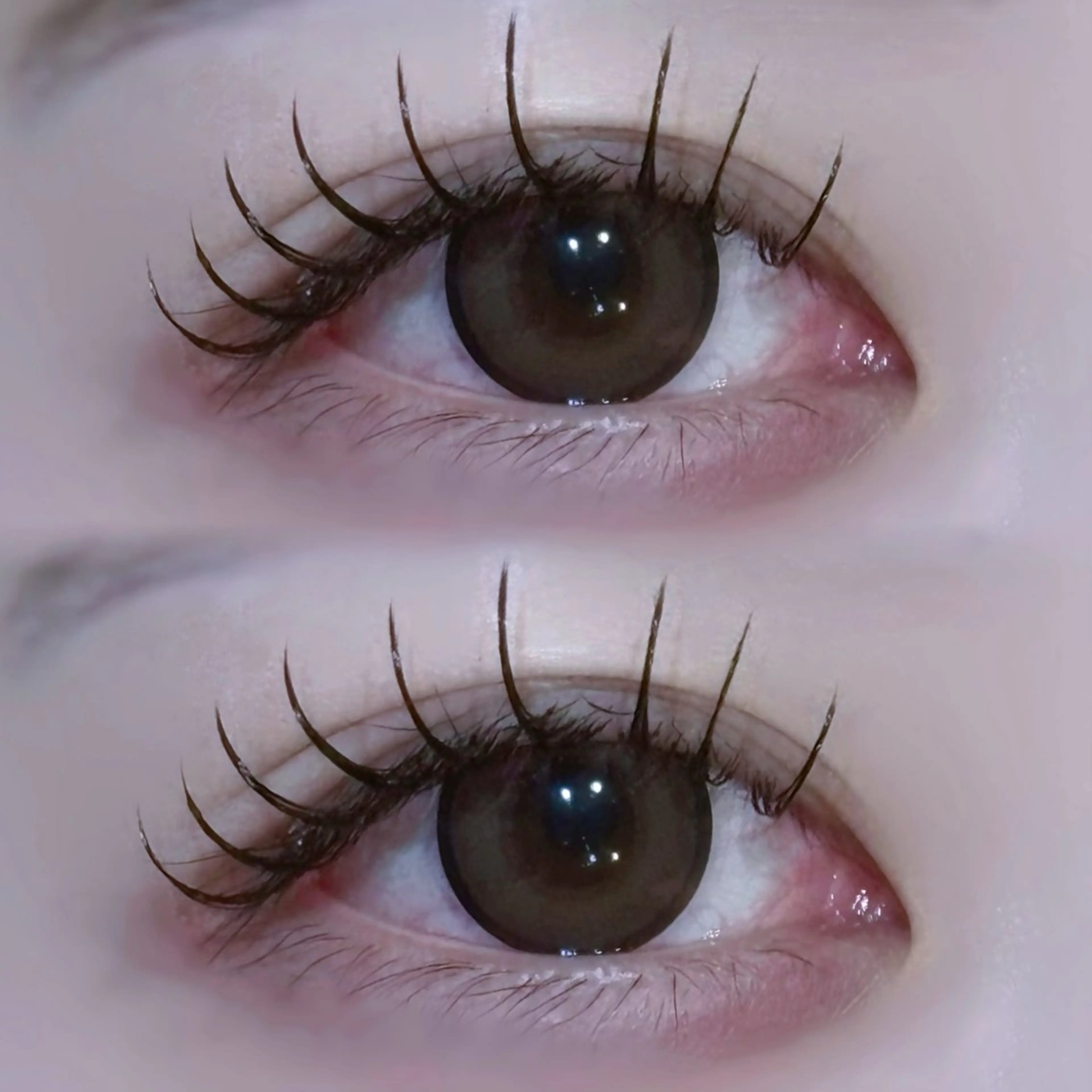 マツエク・マツパ EYELA🤍 蓜島のマツエク・マツパデザイン