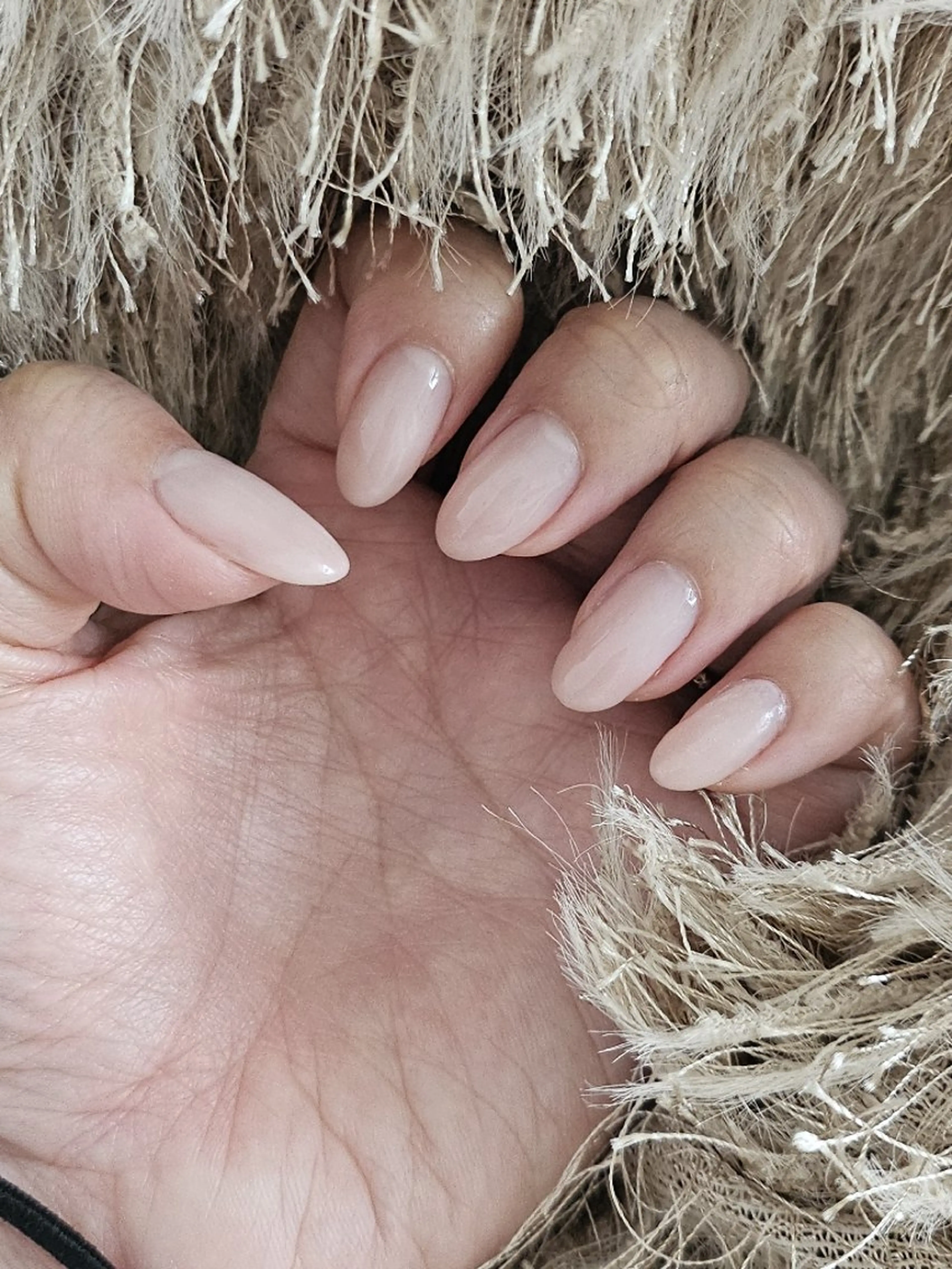 ジェルネイル　ワンカラーの写真