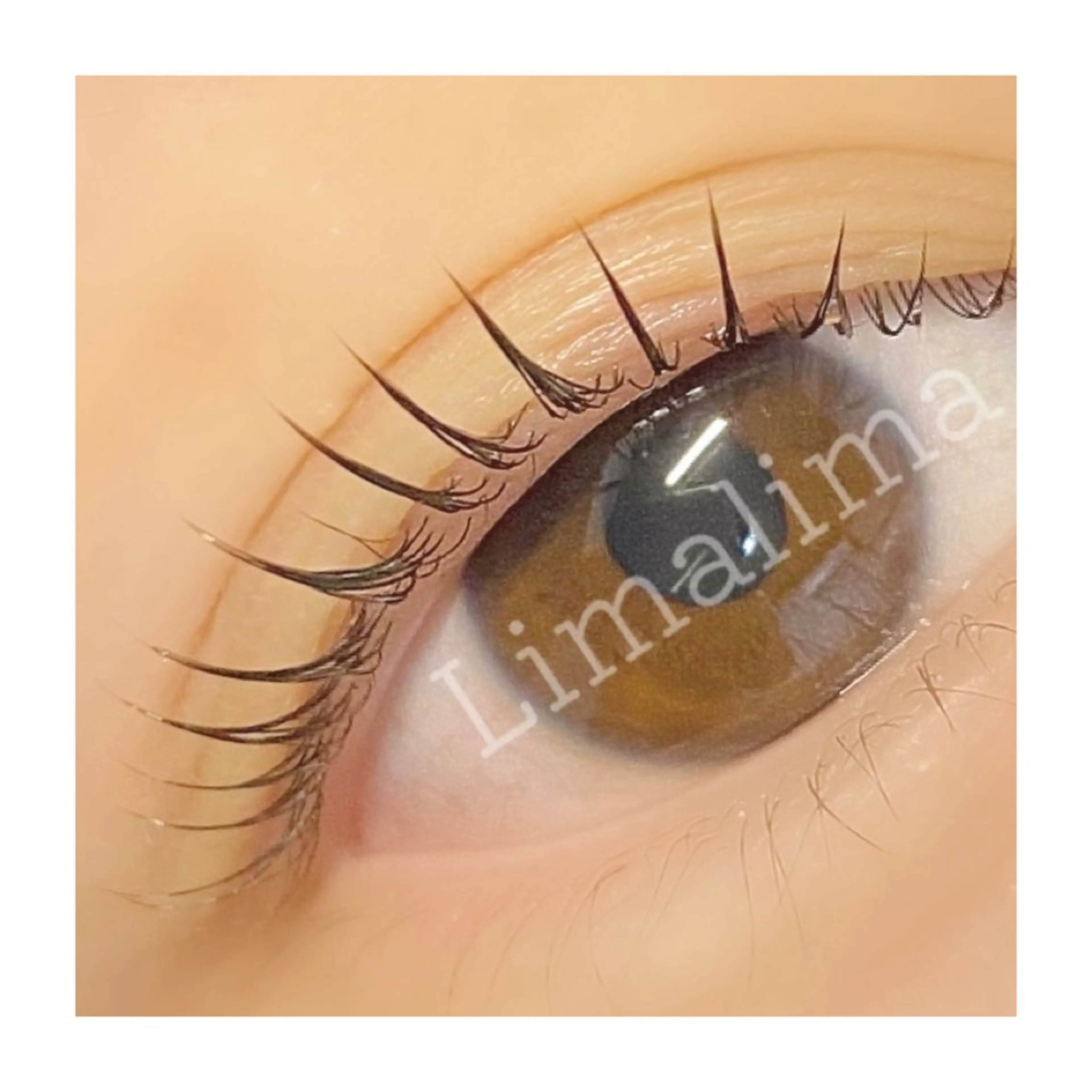 マツエク・マツパ マツパ Limalima所属・まつ毛と眉毛の専門店 Limalima🌿のマツエク・マツパデザイン