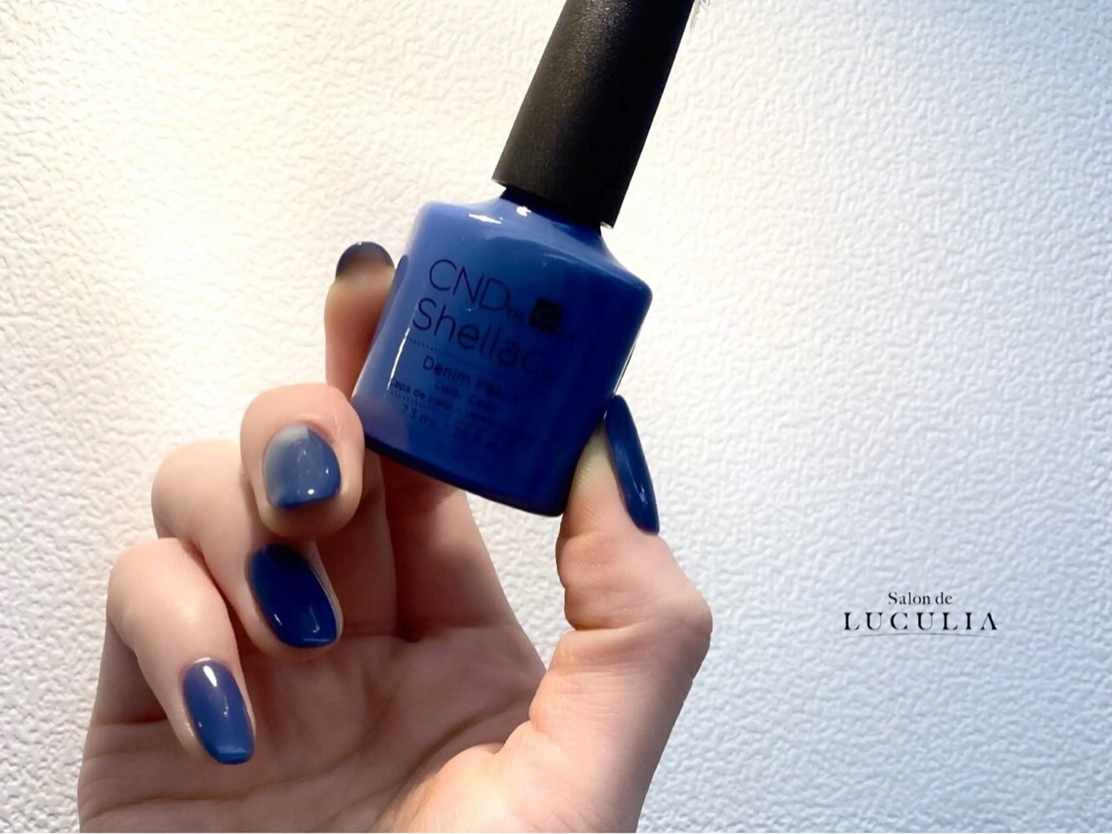 ネイル Salon de LUCULIA所属・LUCULIA 西山のネイルデザイン