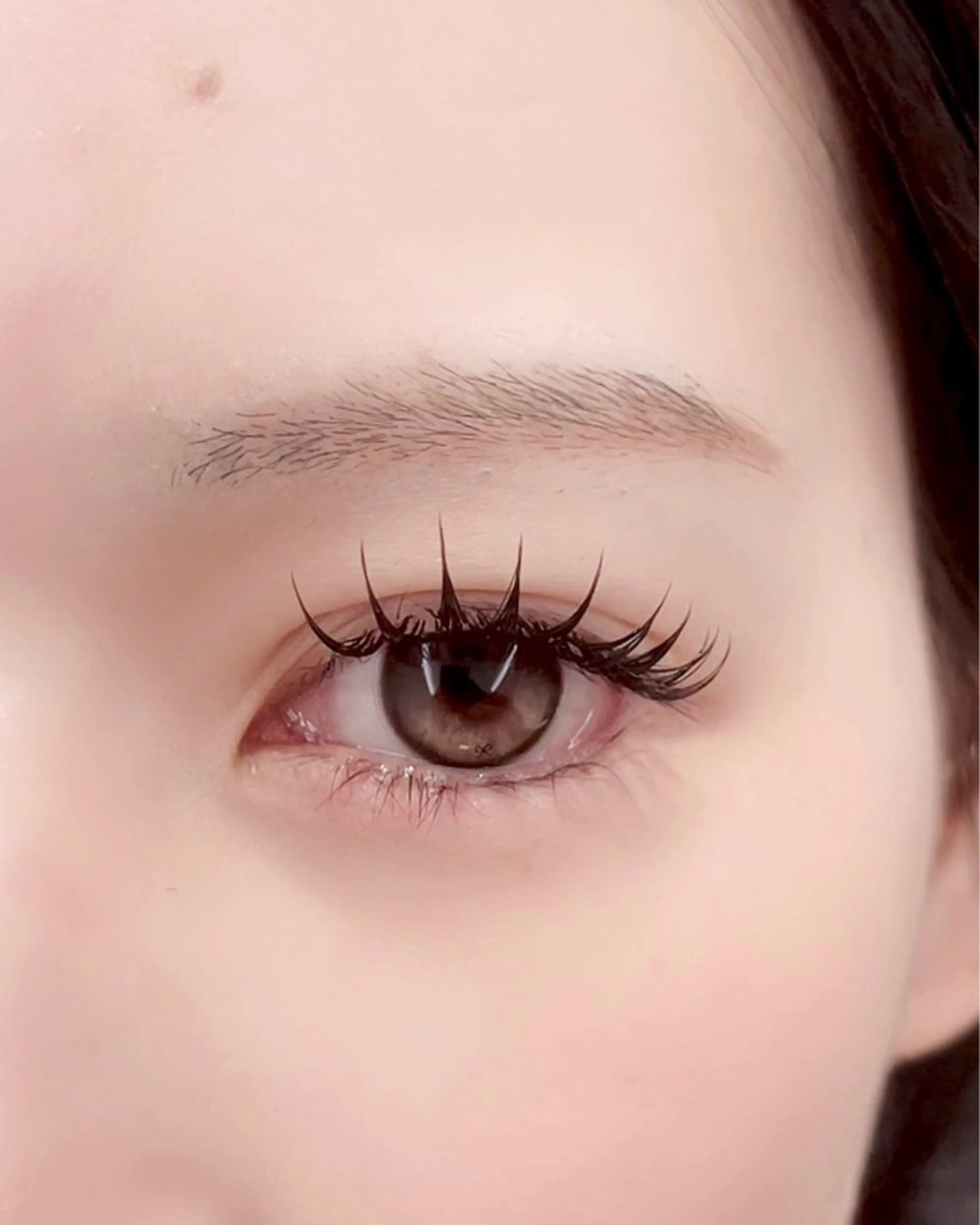 【11月12月限定🈹先着3名様】バインドロック140束の写真