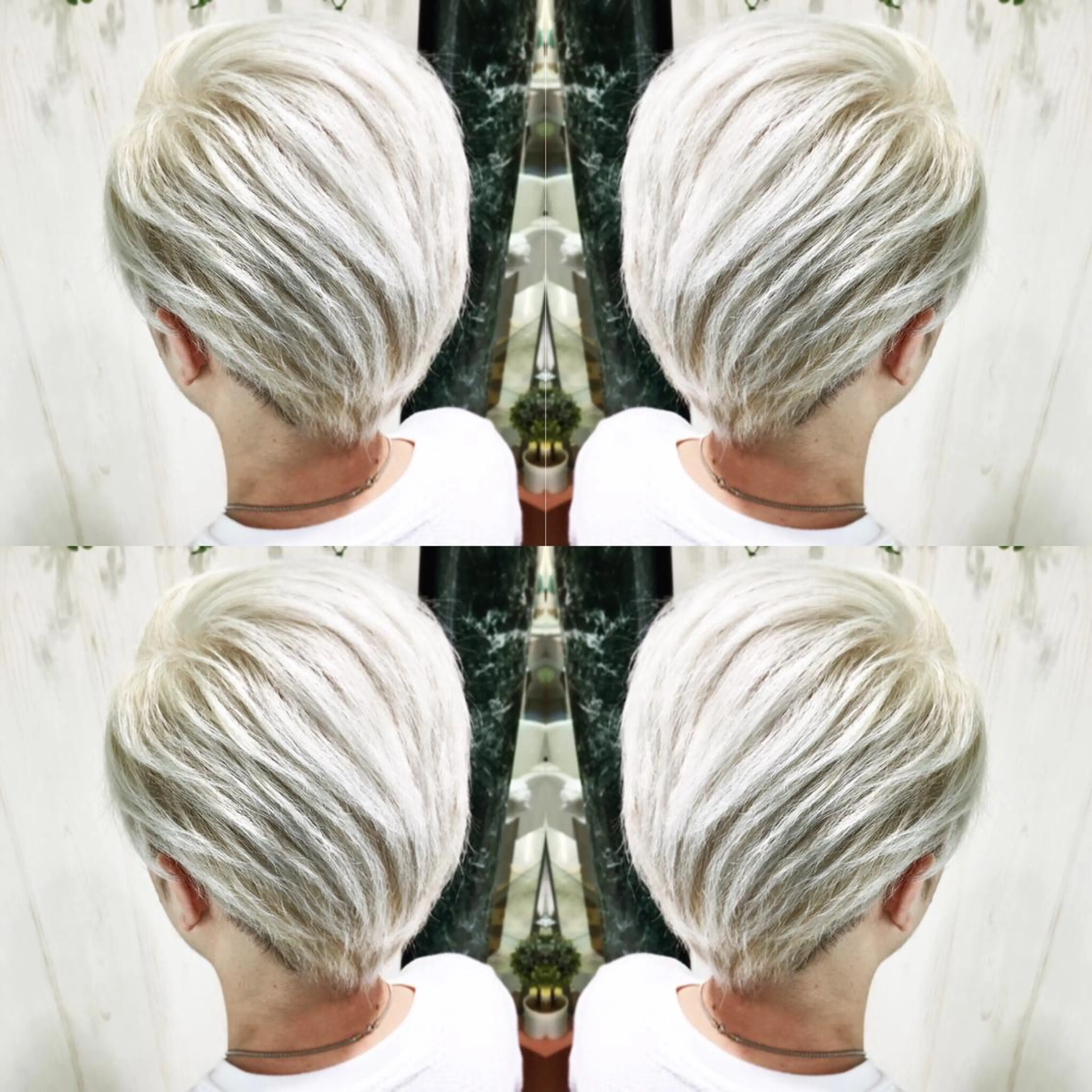 ショート カラー カット ヘアカラー N° jillva ♦️川端裕司♦️のヘアスタイル