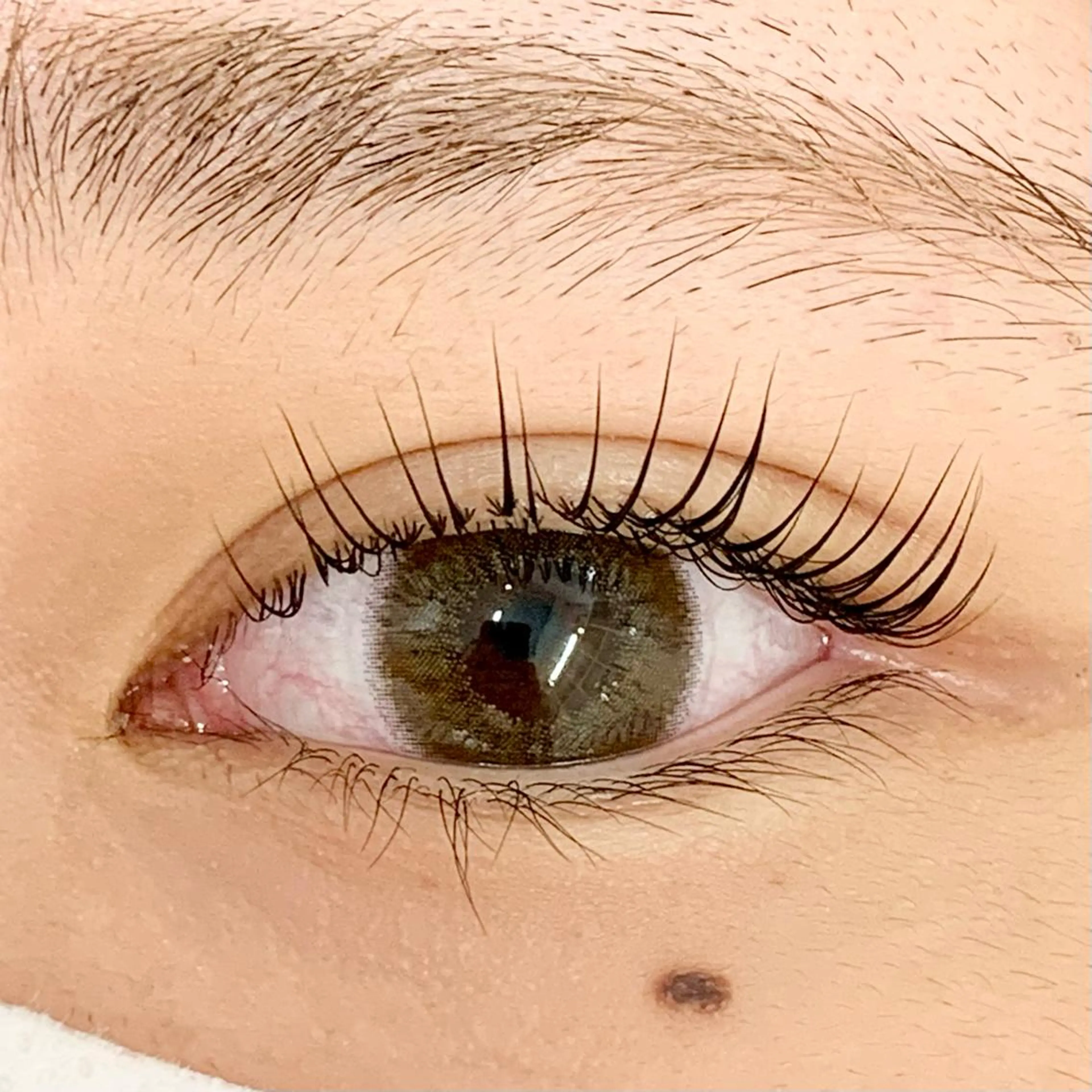 マツエク・マツパ パリジェンヌラッシュリフト まつげパーマ マツパ BellFlower Aki（眉・まつげ）のマツエク・マツパデザイン