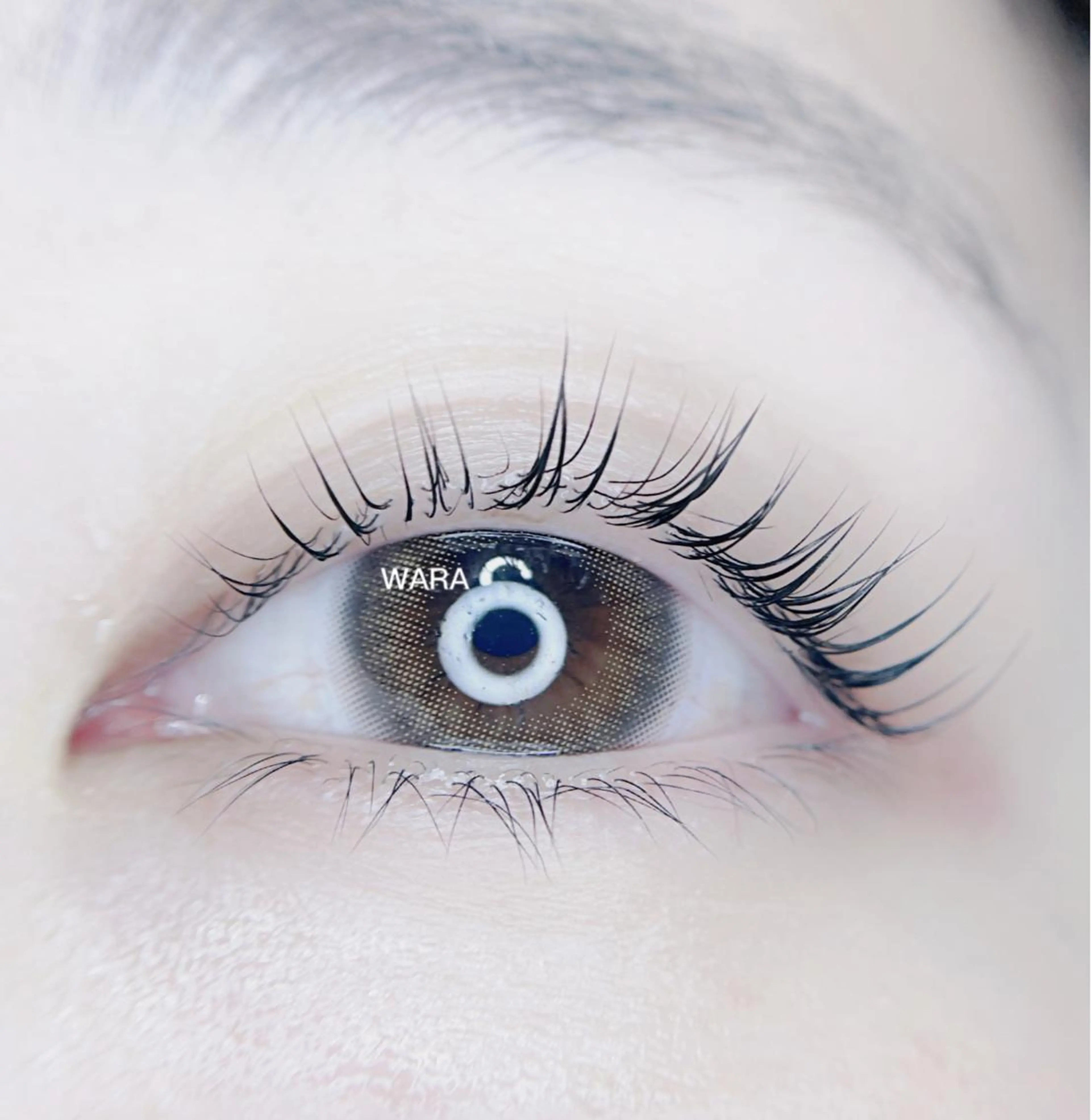 マツエク・マツパ foisalon 大久保店のマツエク・マツパデザイン