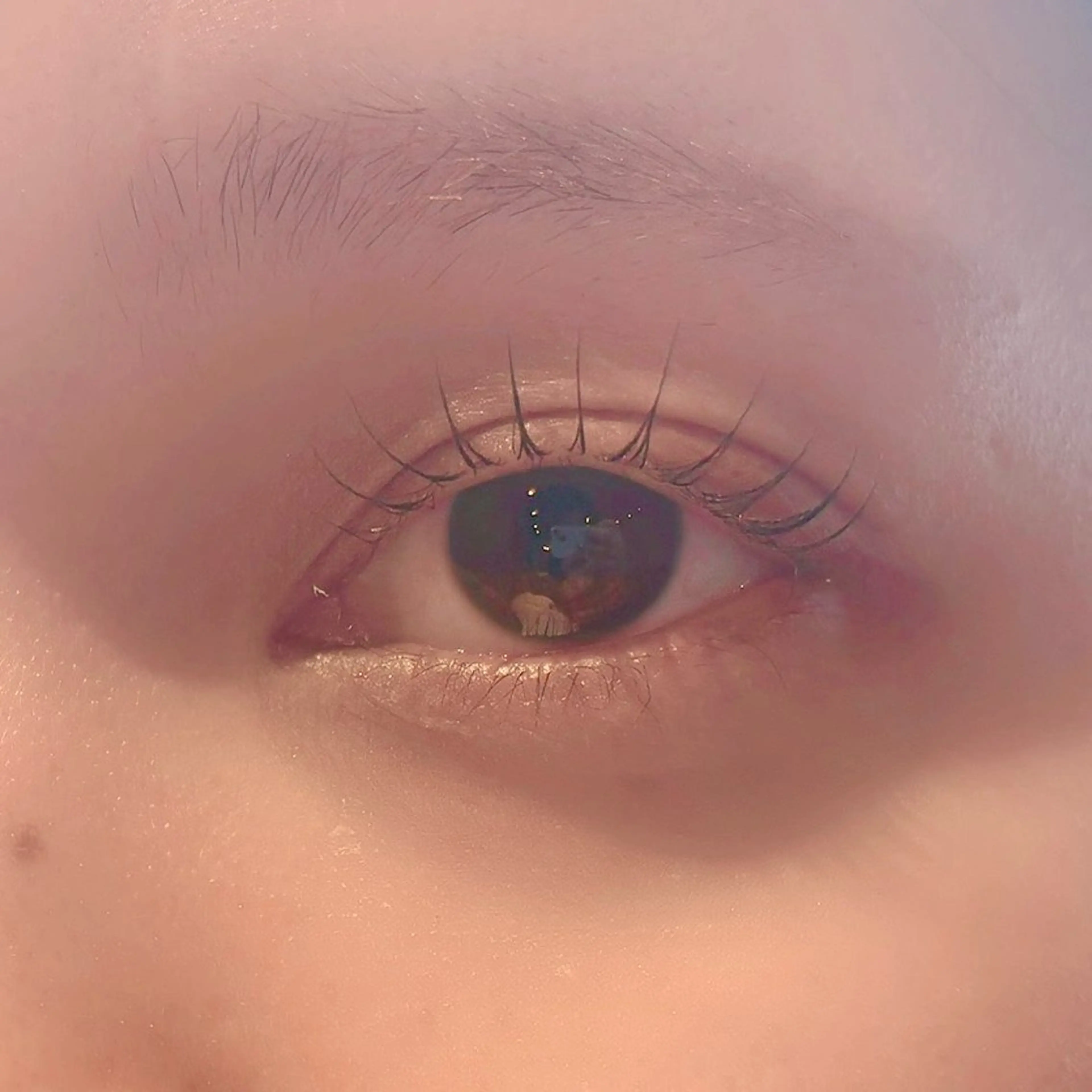 マツエク・マツパ マツパ BeckyLash すずきのマツエク・マツパデザイン