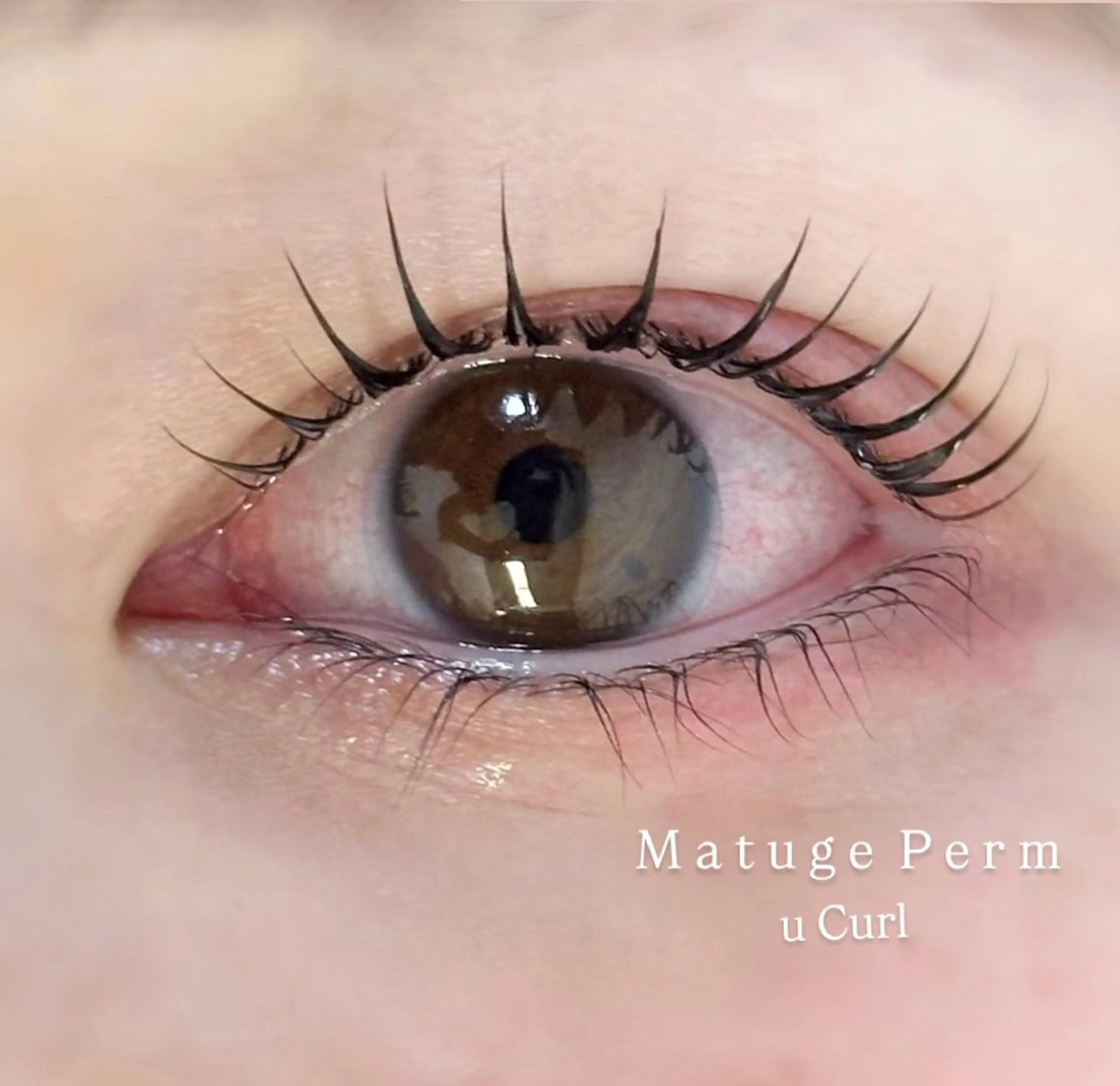 マツエク・マツパ 韓国風マツエク LORAN_ Ayamiの眉毛・アイブロウイメージ