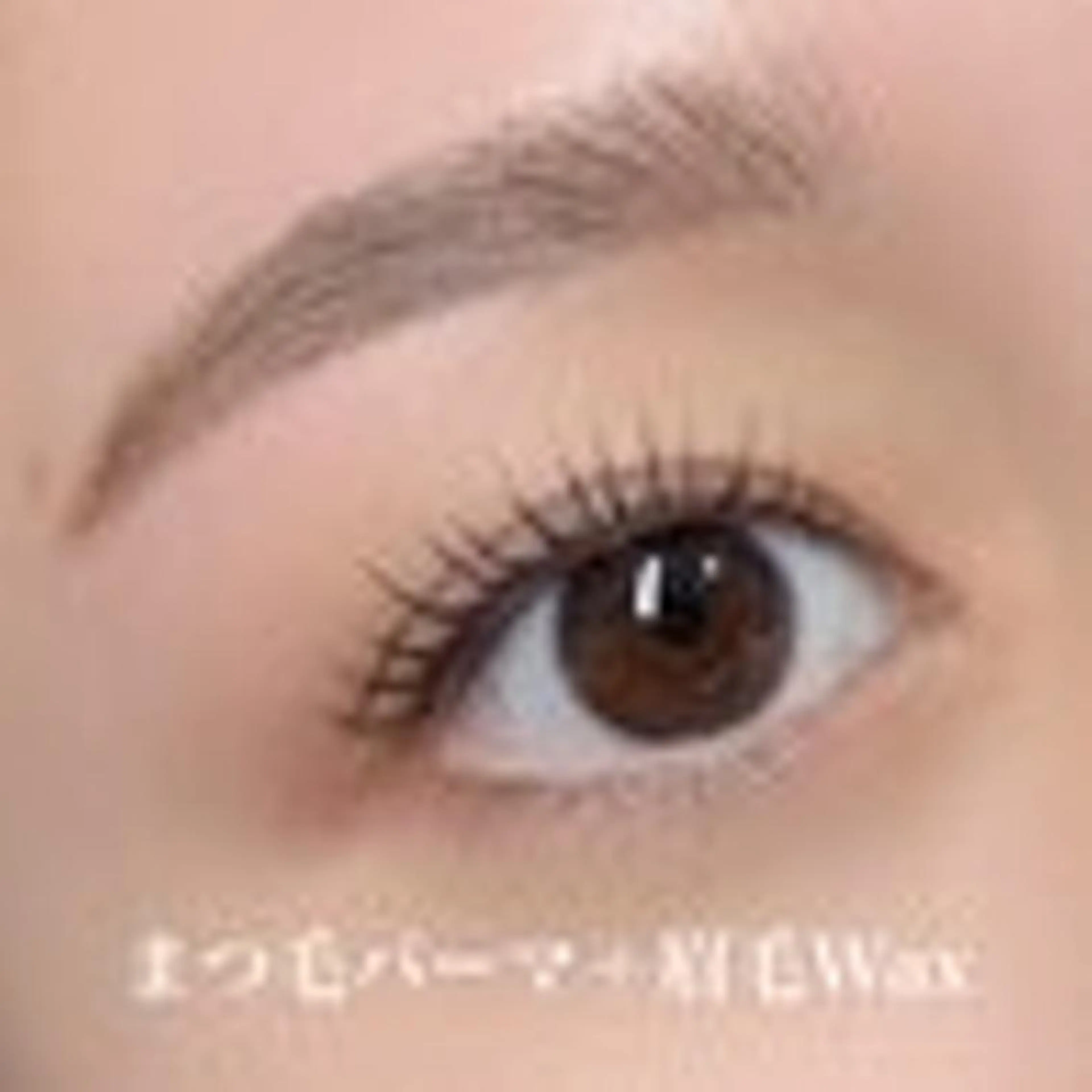 【SALE40%OFF】まつ毛パーマ(上)+美眉スタイリングの写真