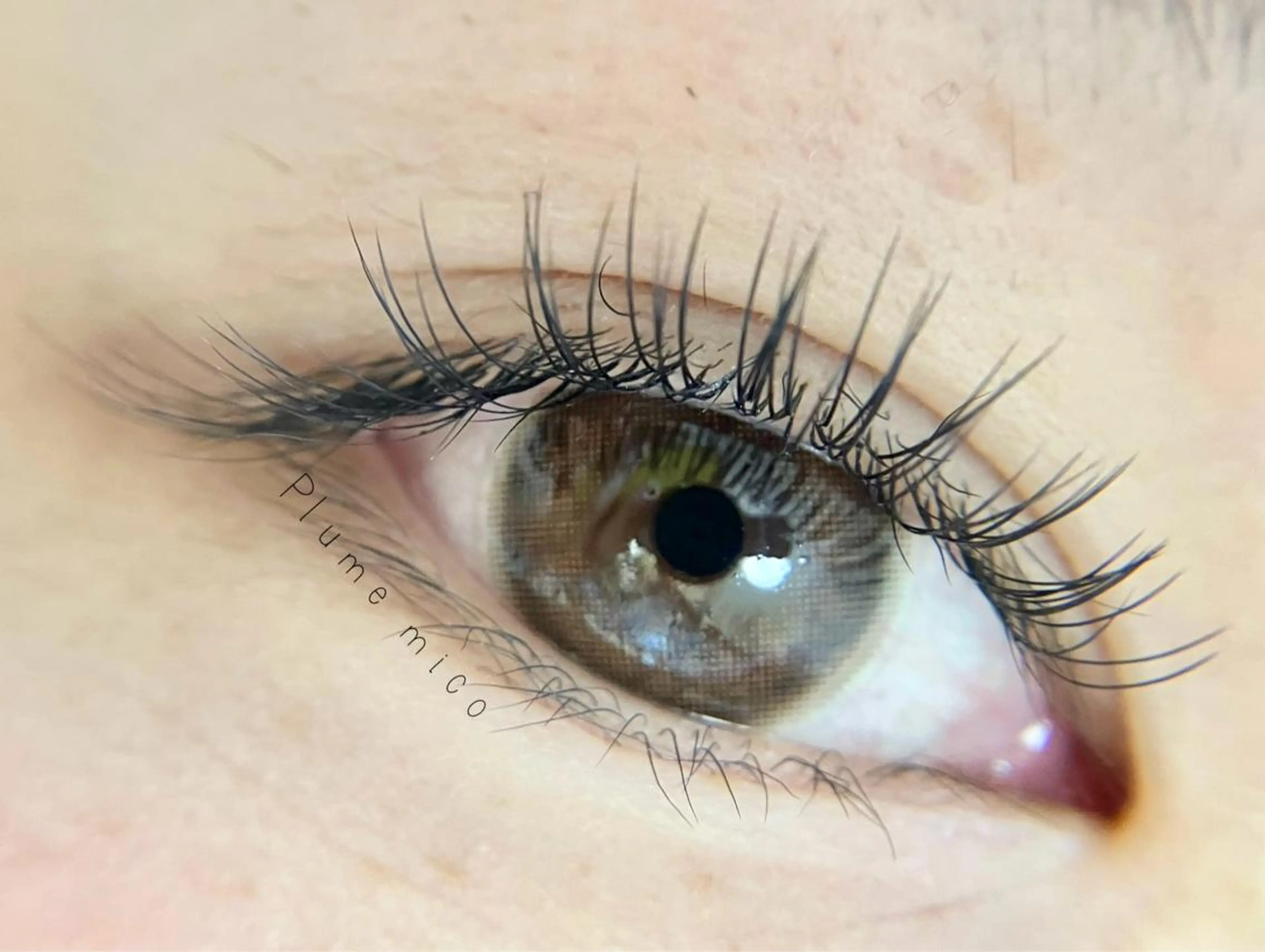 マツエク・マツパ マツエク Plume micoのマツエク・マツパデザイン