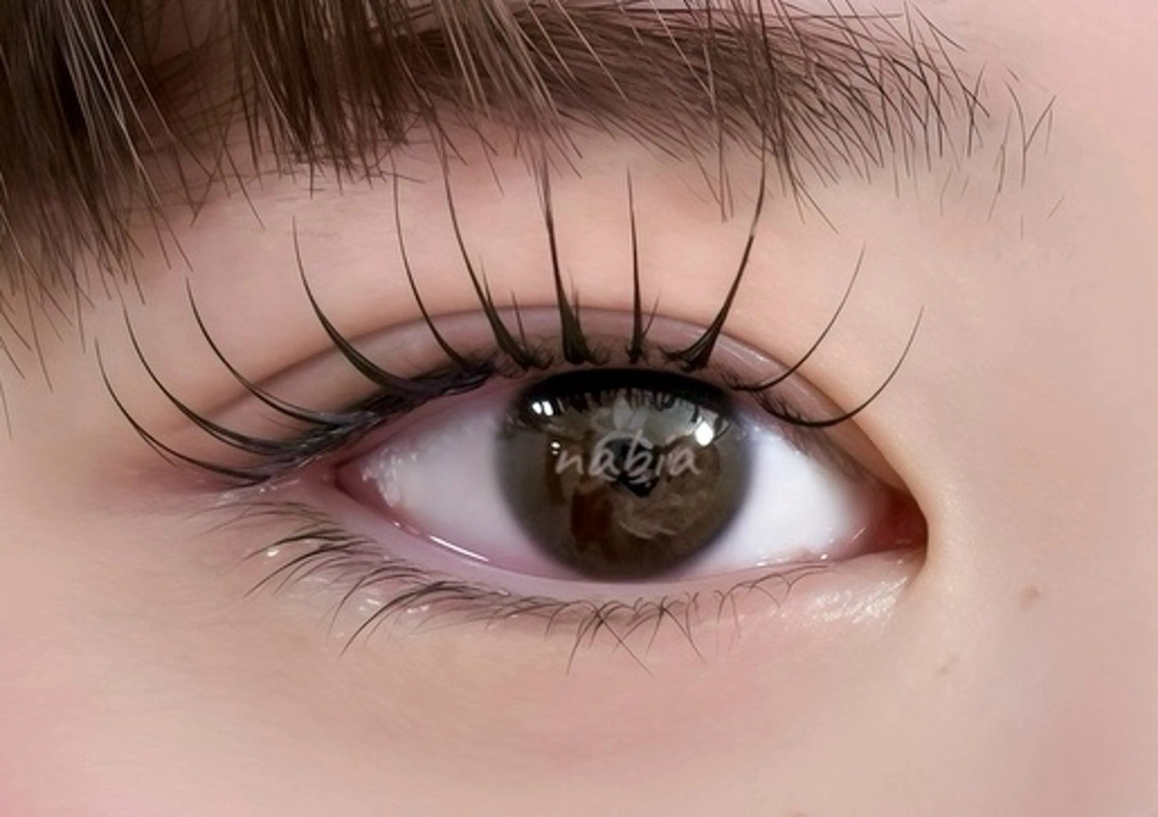 (＆Healthy無料)アンドヘルシー➕バインドロック100束の写真