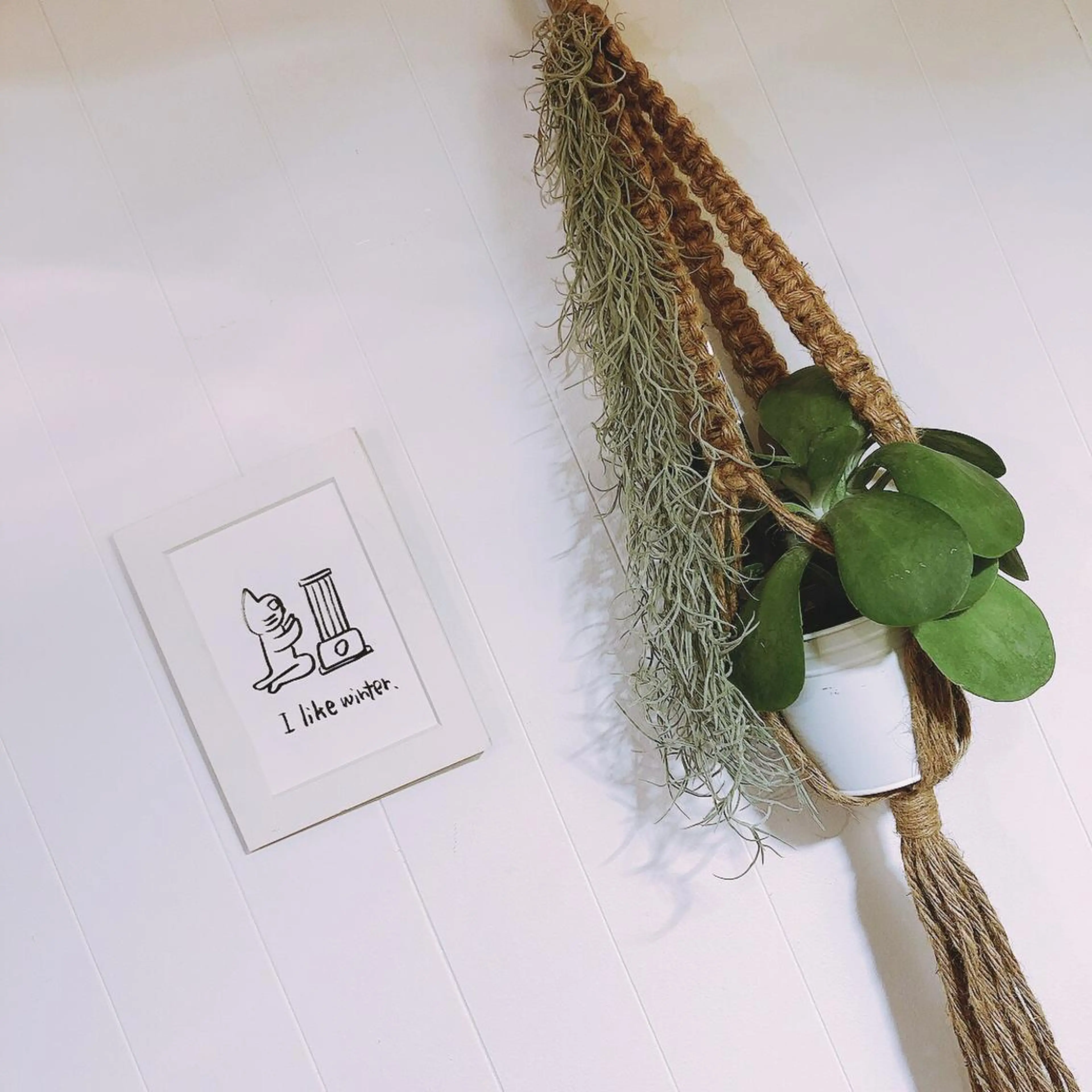 マツエク・マツパ なかむら 🪡の眉毛・アイブロウイメージ