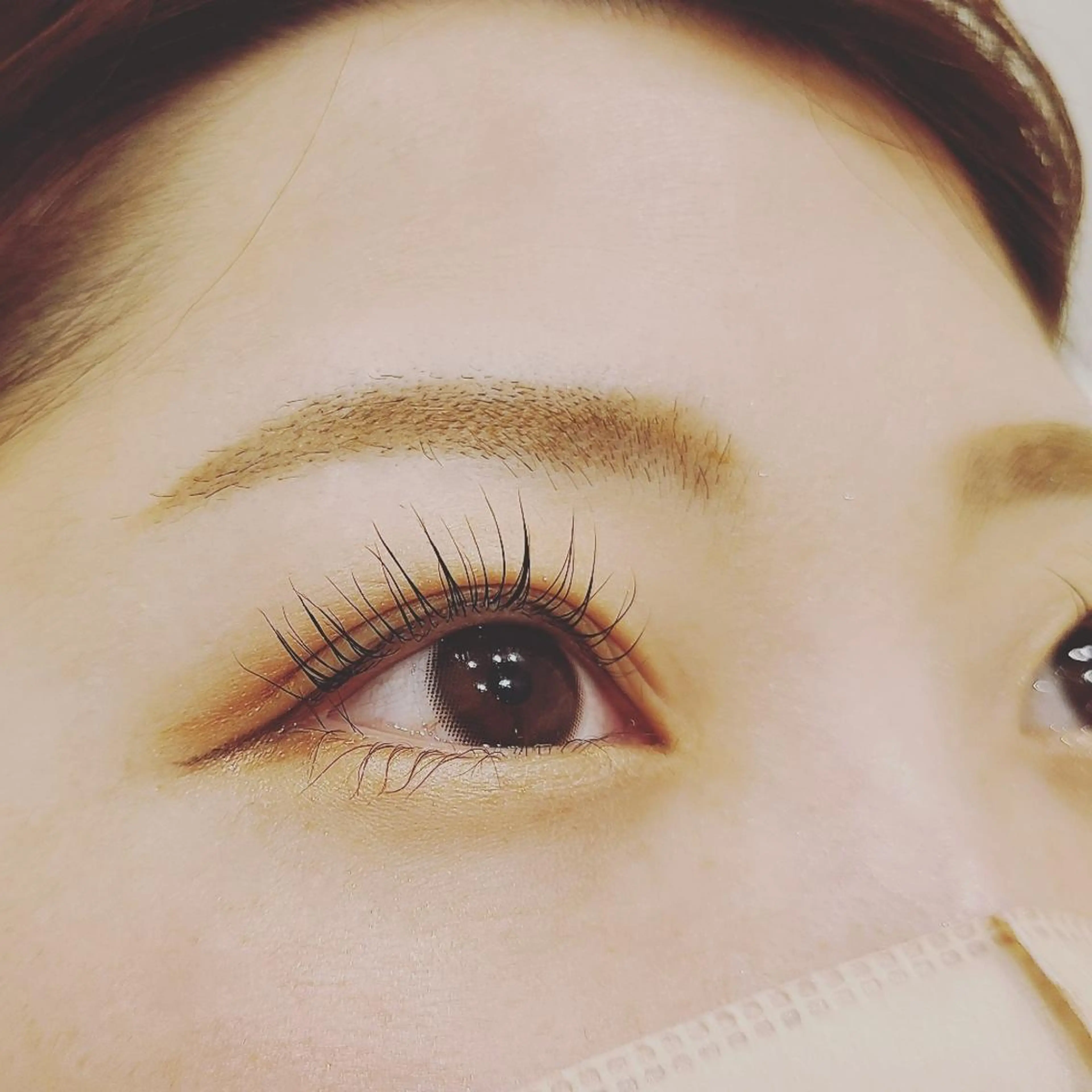 マツエク・マツパ マツパ 西本由佳里 (店長)のマツエク・マツパデザイン