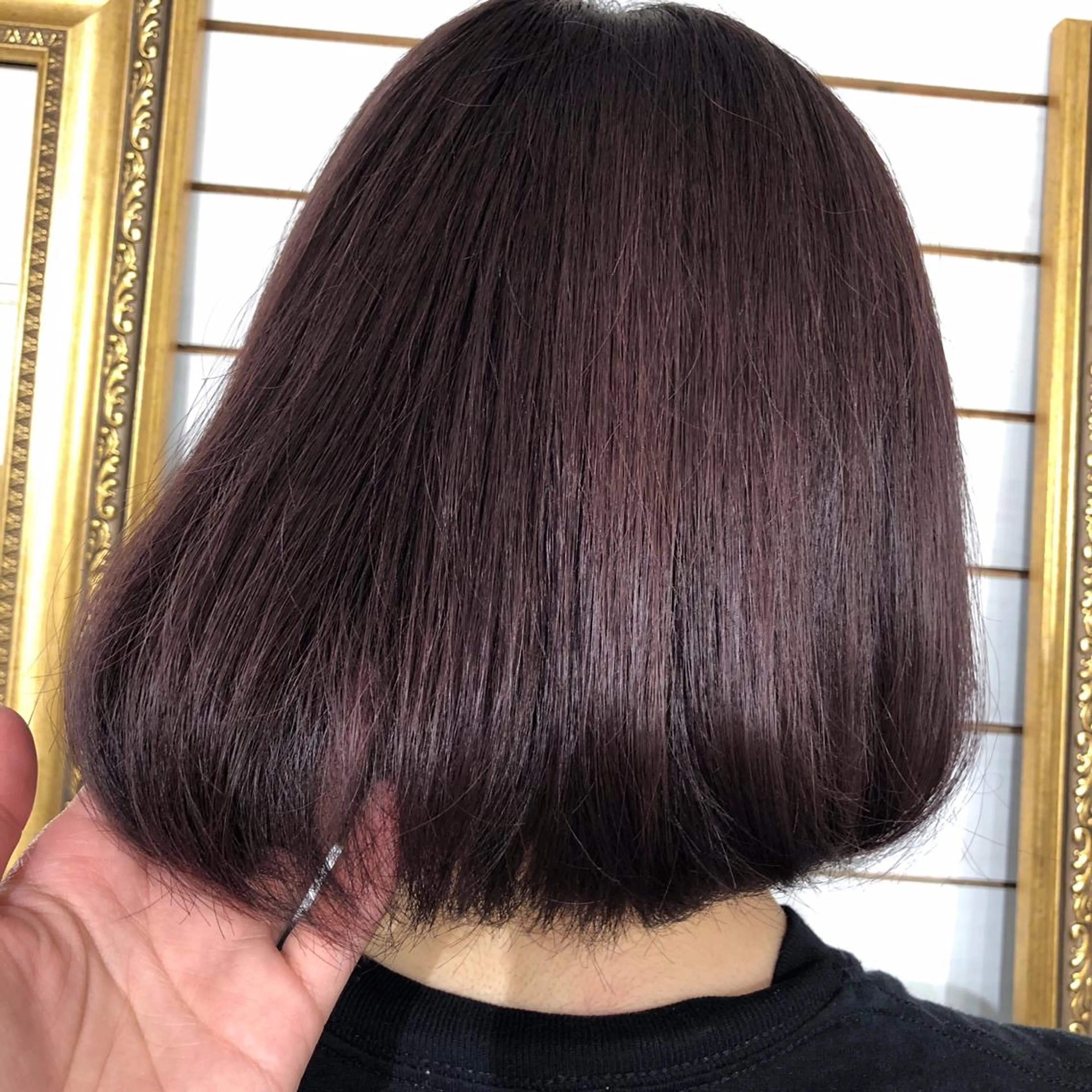 ミディアム カラー ヘアアレンジ ブリーチ ブリーチなしカラー バイオレットカラー カット ヘアカラー 🦋美髪／エクステ 🦋アベイクミのヘアスタイル