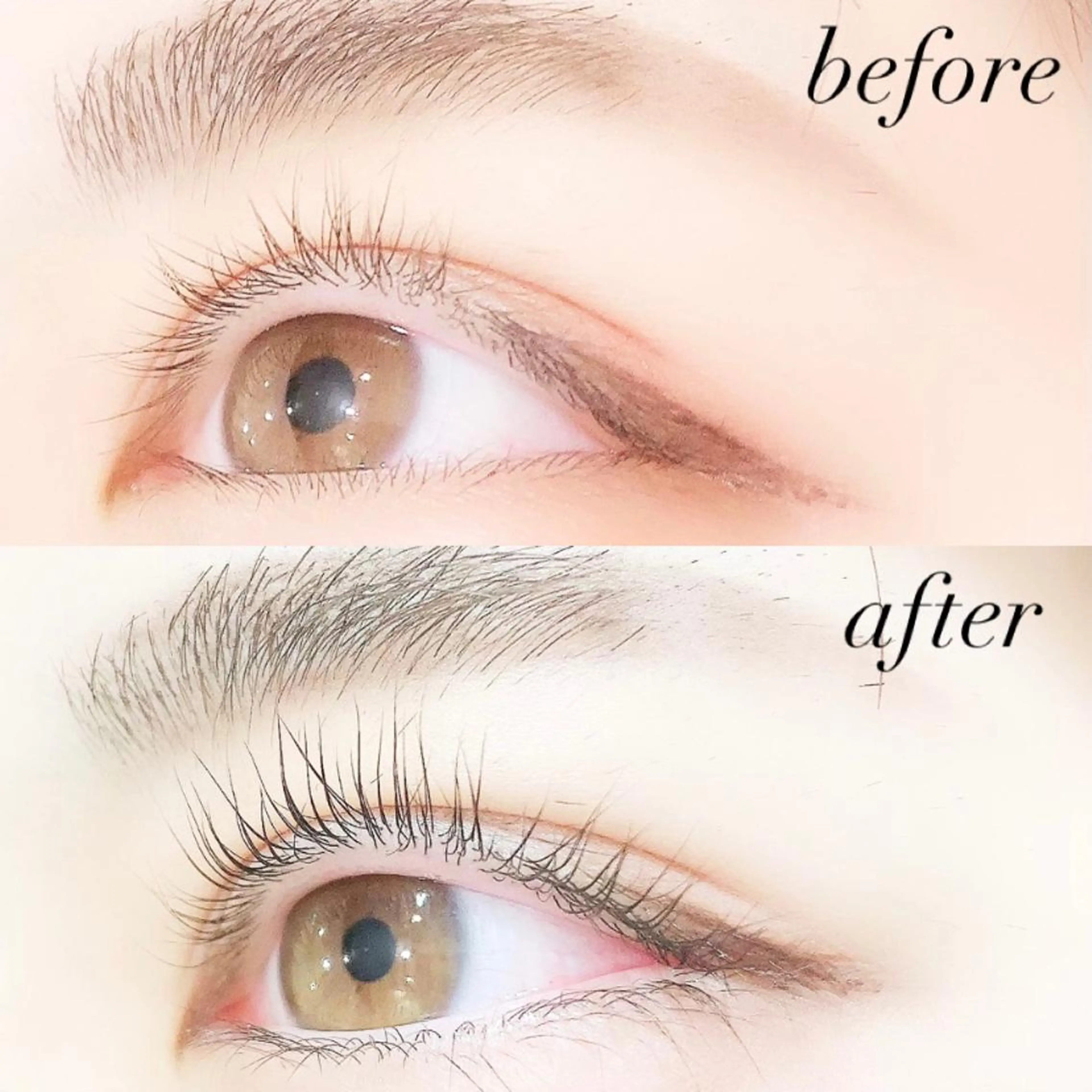 マツエク・マツパ 一重×まつ毛パーマ Lanhr所属・【Lanhr】 🕊aya🕊のマツエク・マツパデザイン