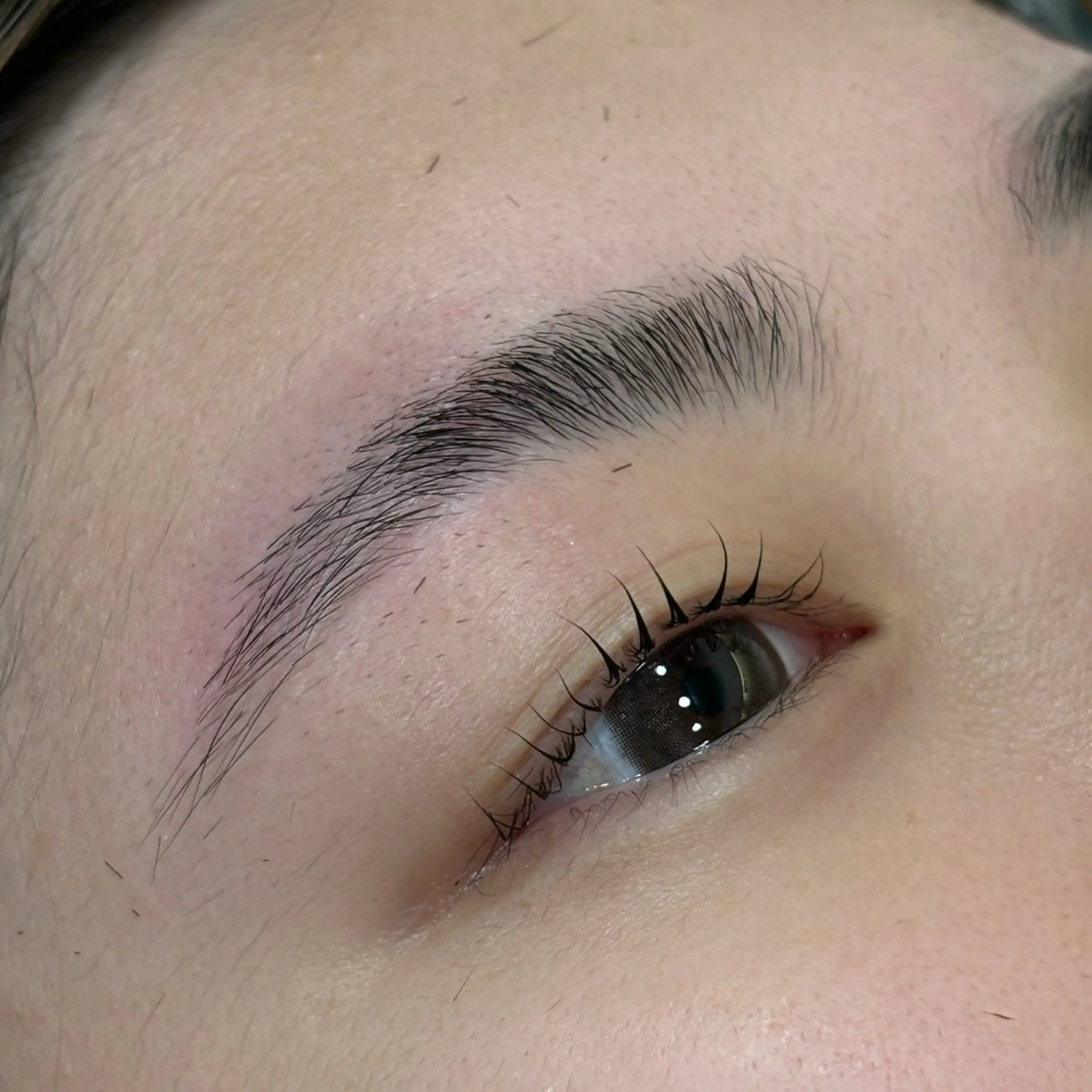 【美まつ毛 × 美眉セット】まつ毛パーマ+アイブロウ¥5410の写真