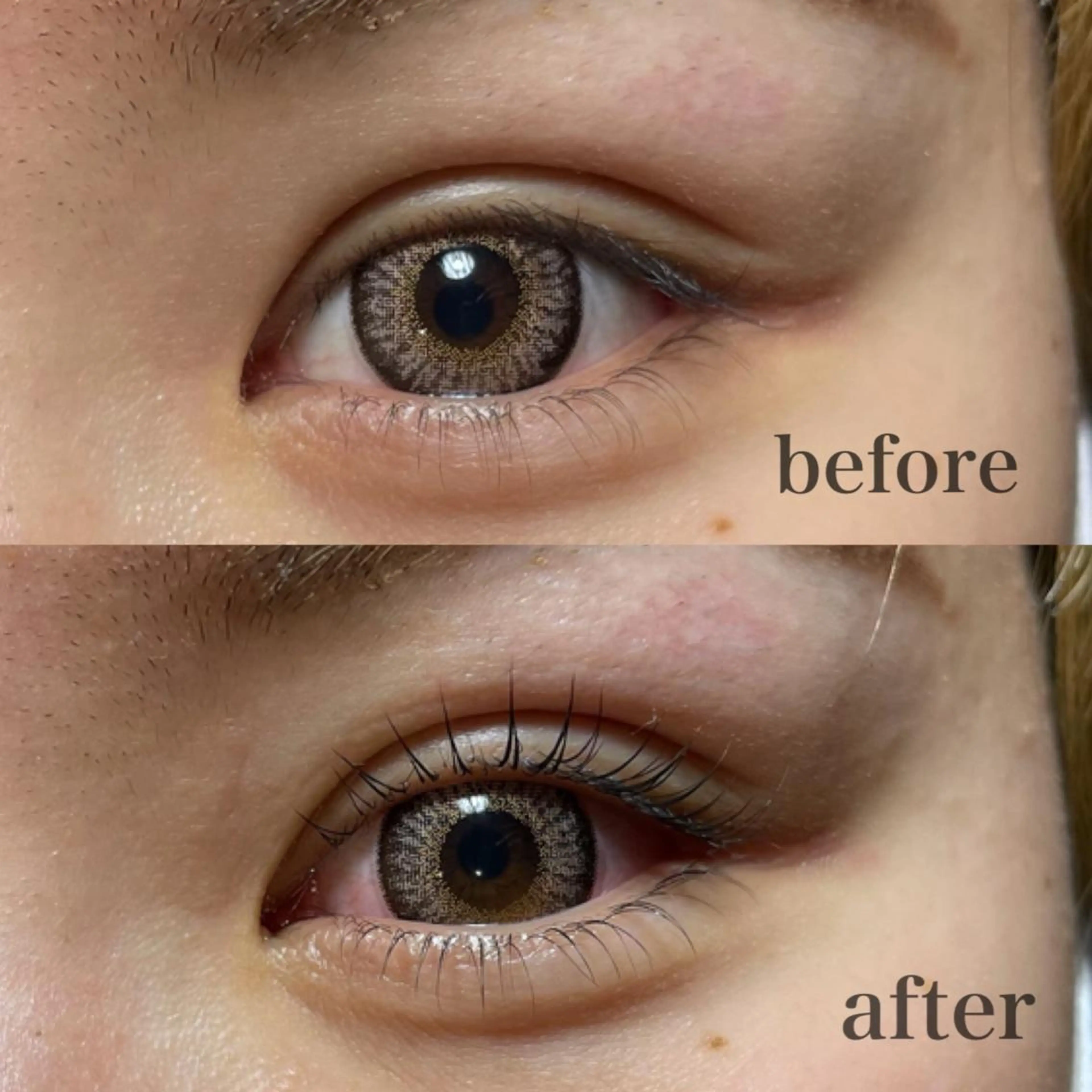 マツエク・マツパ 向井 萌華の眉毛・アイブロウイメージ