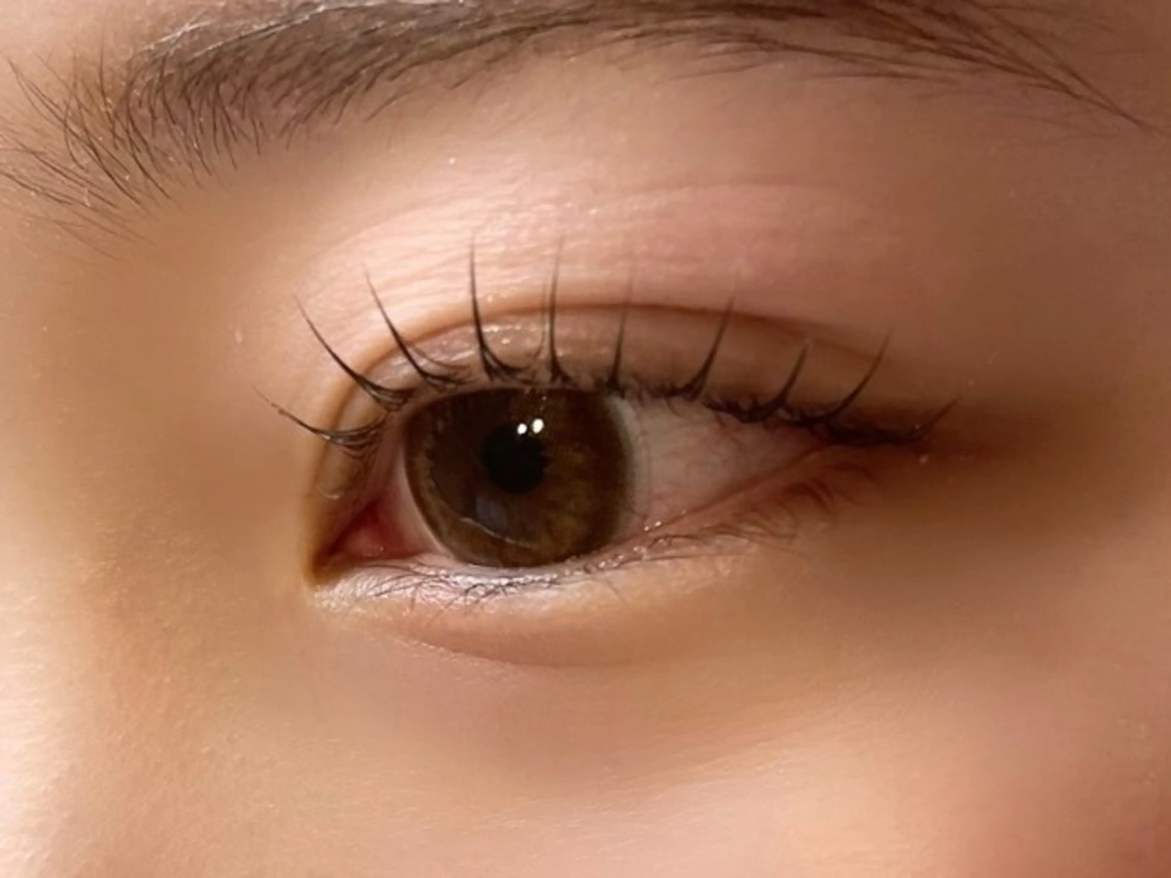 まつ毛パーマ【上】の写真