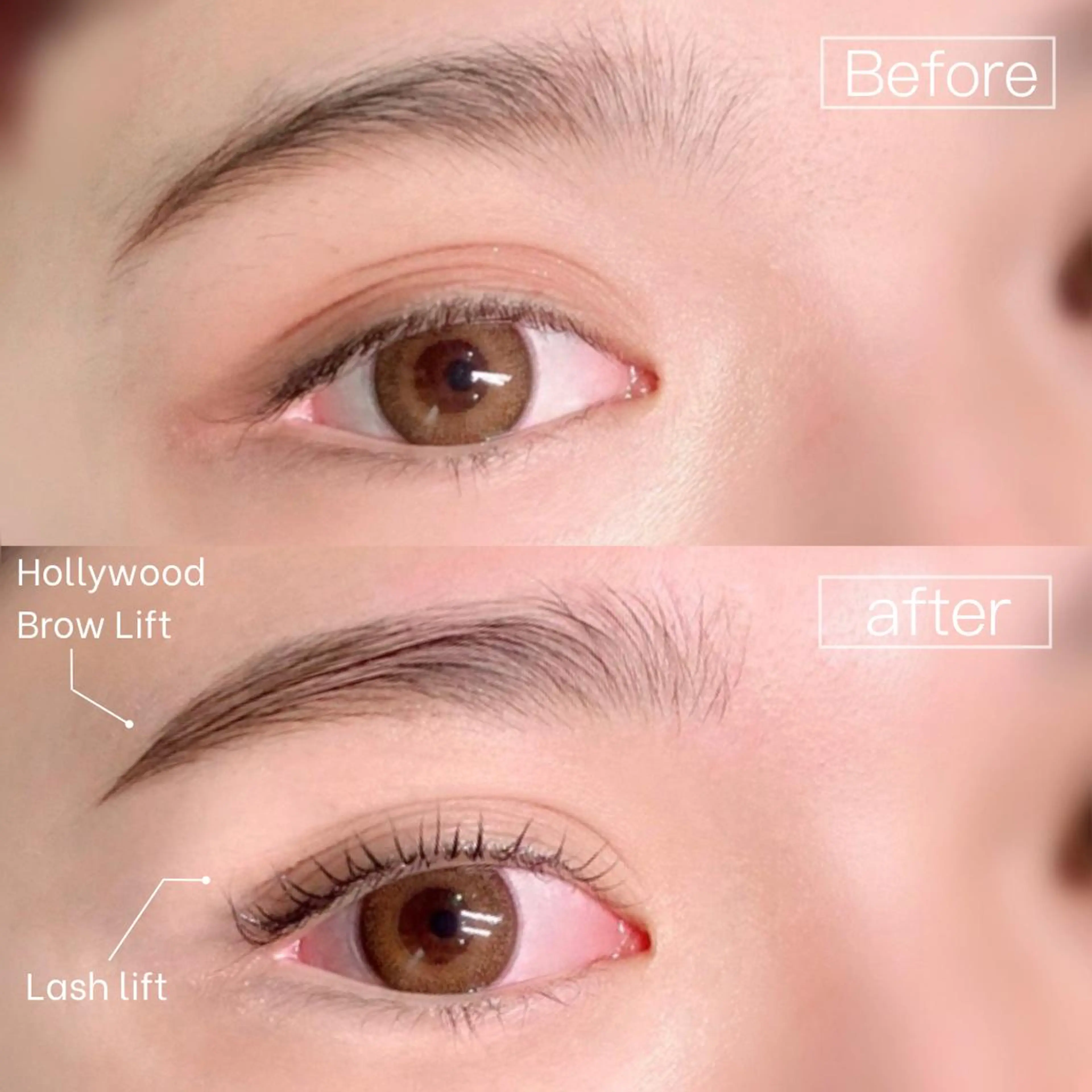 【セットメニュー】ラッシュリフト+ブロウリフト💛（まつ毛パーマ+眉毛パーマ&WAX）※注意事項必読下さいの写真