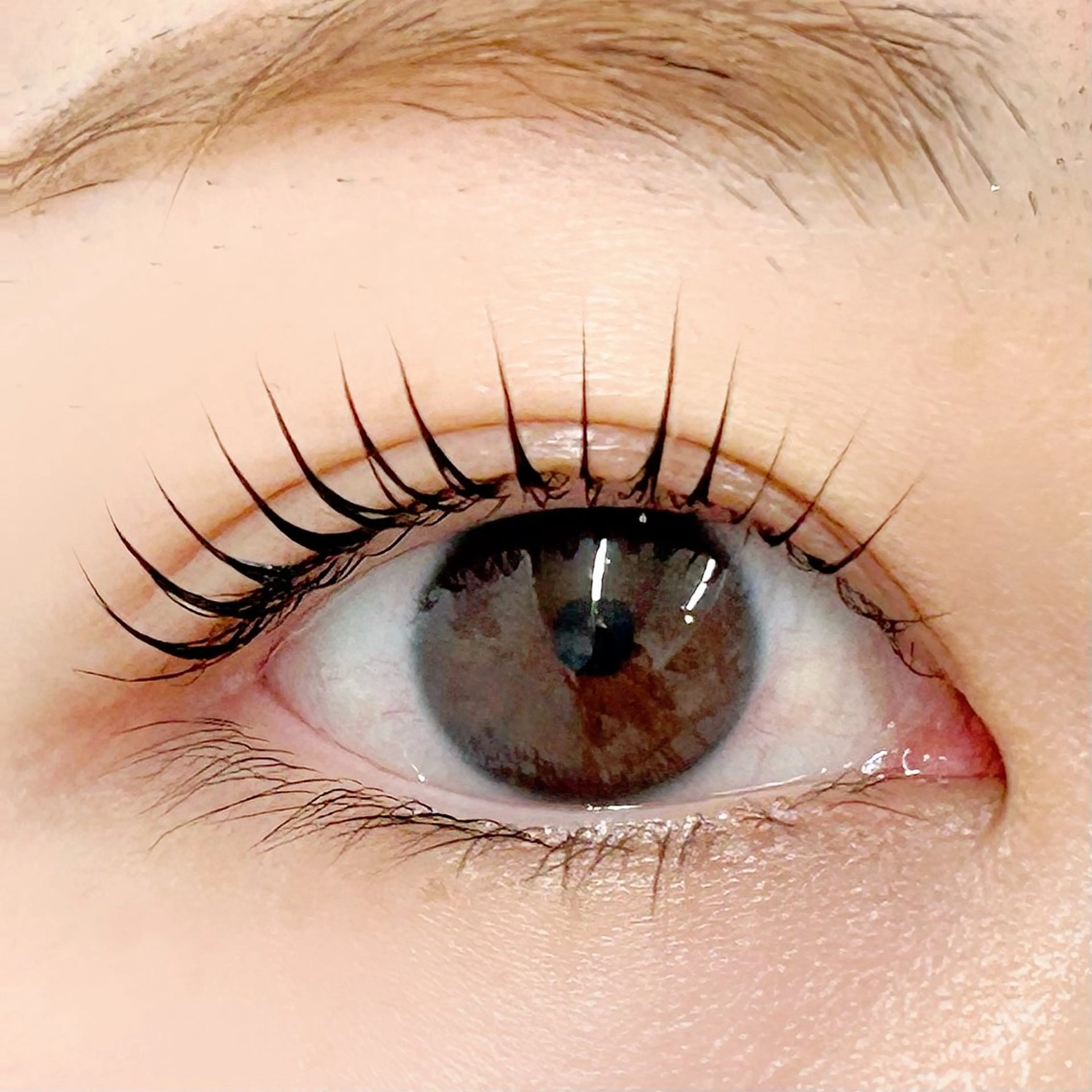 マツエク・マツパ パリジェンヌラッシュリフト 一重×まつ毛パーマ マツパ BellFlower Aki（眉・まつげ）のマツエク・マツパデザイン