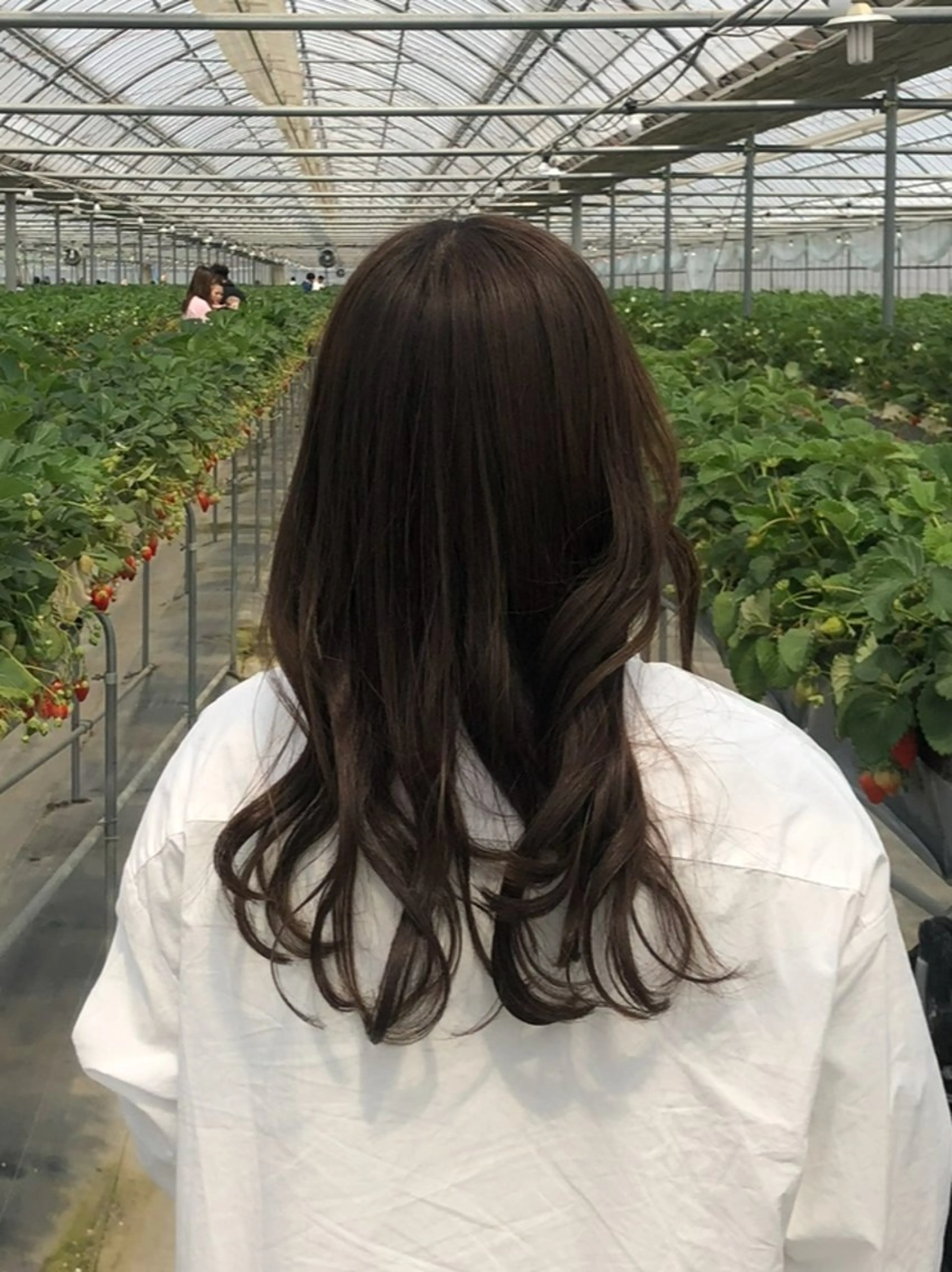 ロング 内海 遥香のヘアスタイル