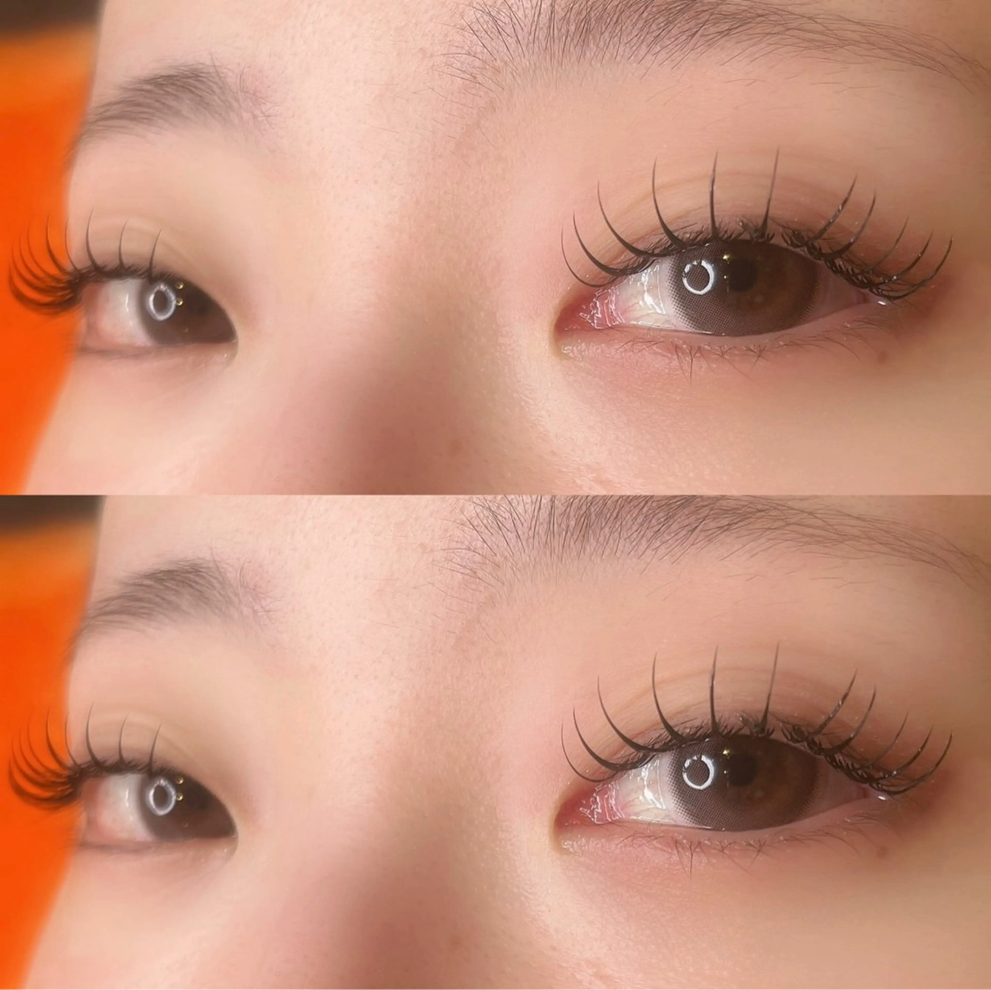 フラットラッシュ 100本 【オフ無】の写真