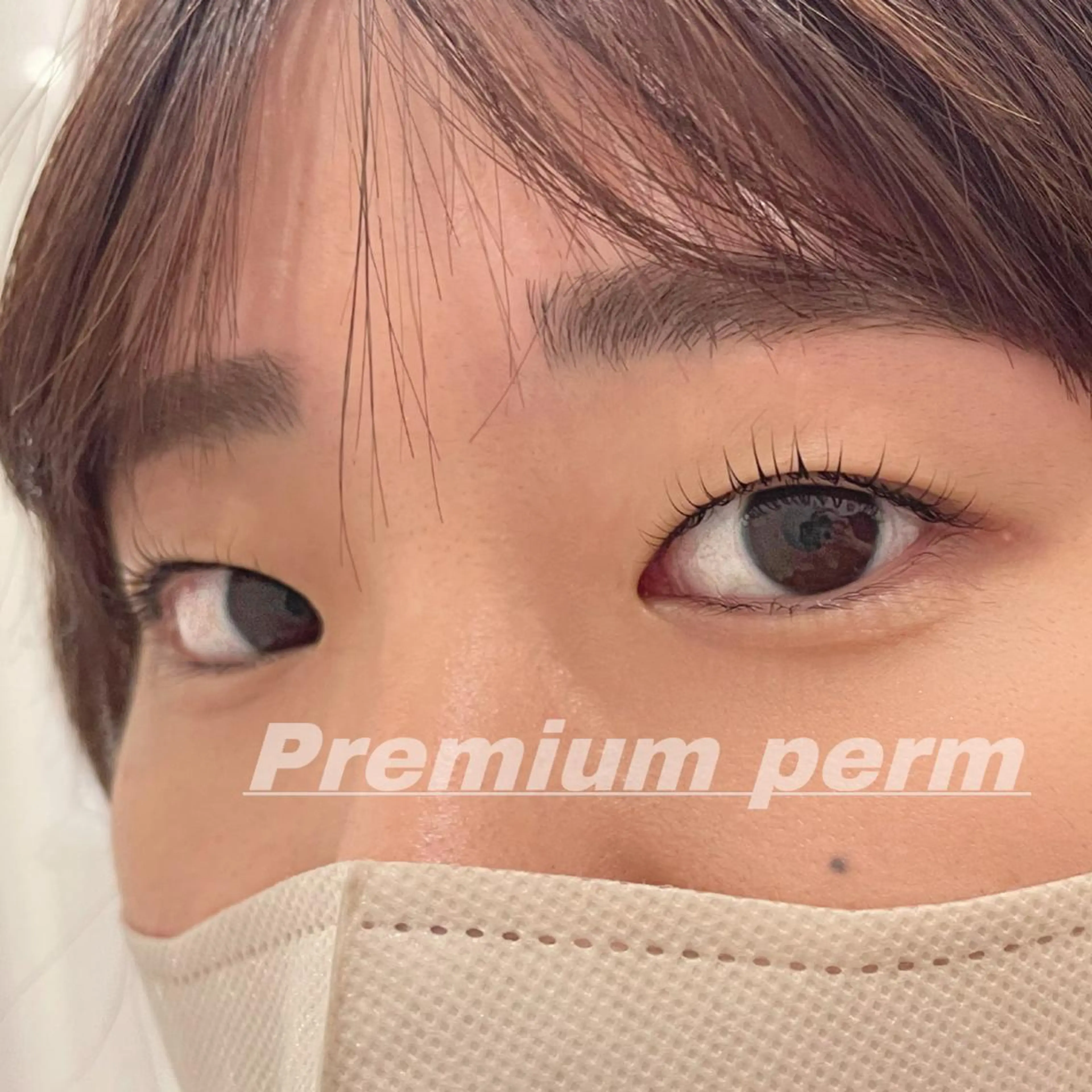 マツエク・マツパ 一重×まつ毛パーマ Eye ELSA lash栄店 長沼の眉毛・アイブロウイメージ