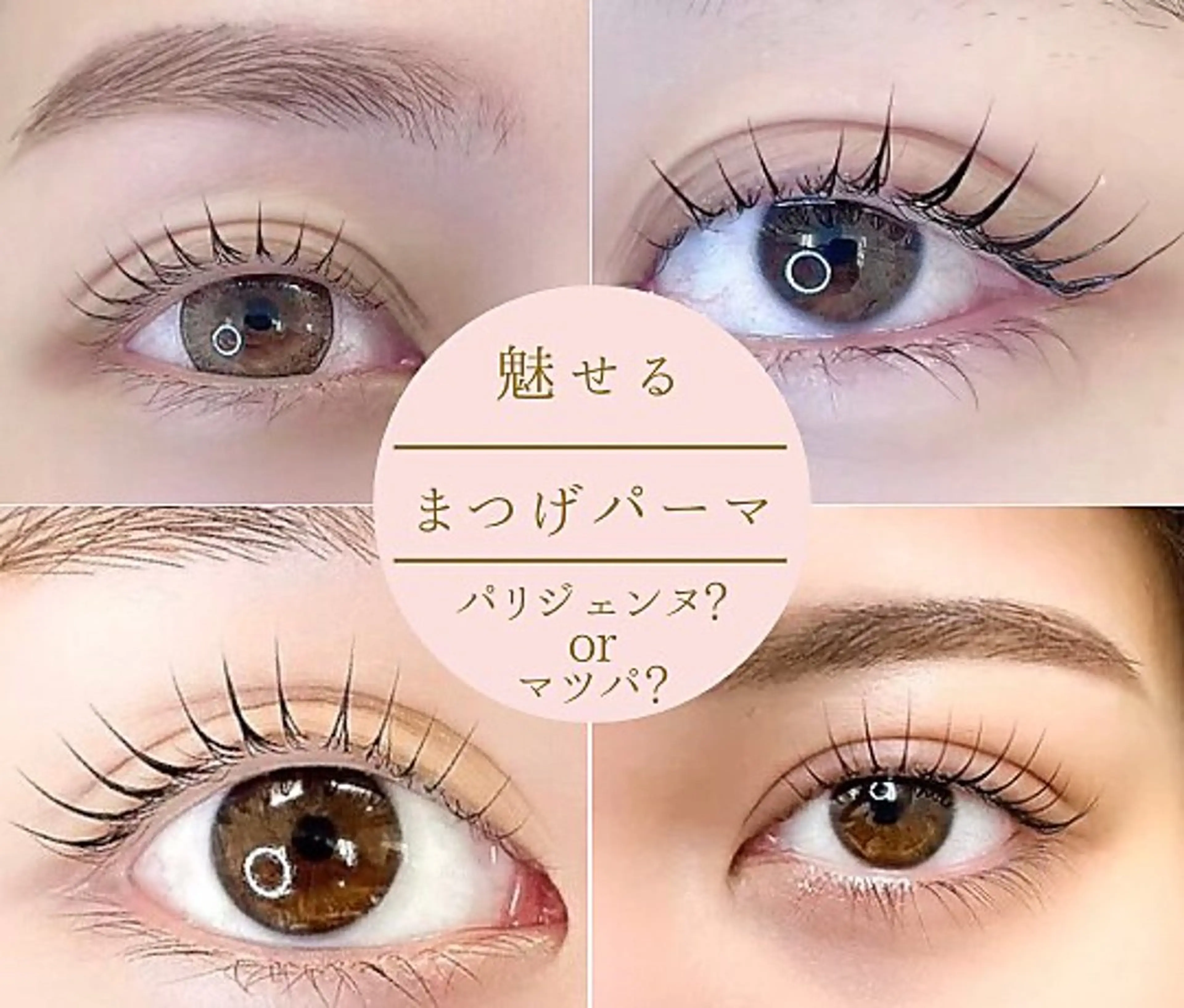 ７月限定❗️まつ毛パーマ【上まつ毛のみ】の写真