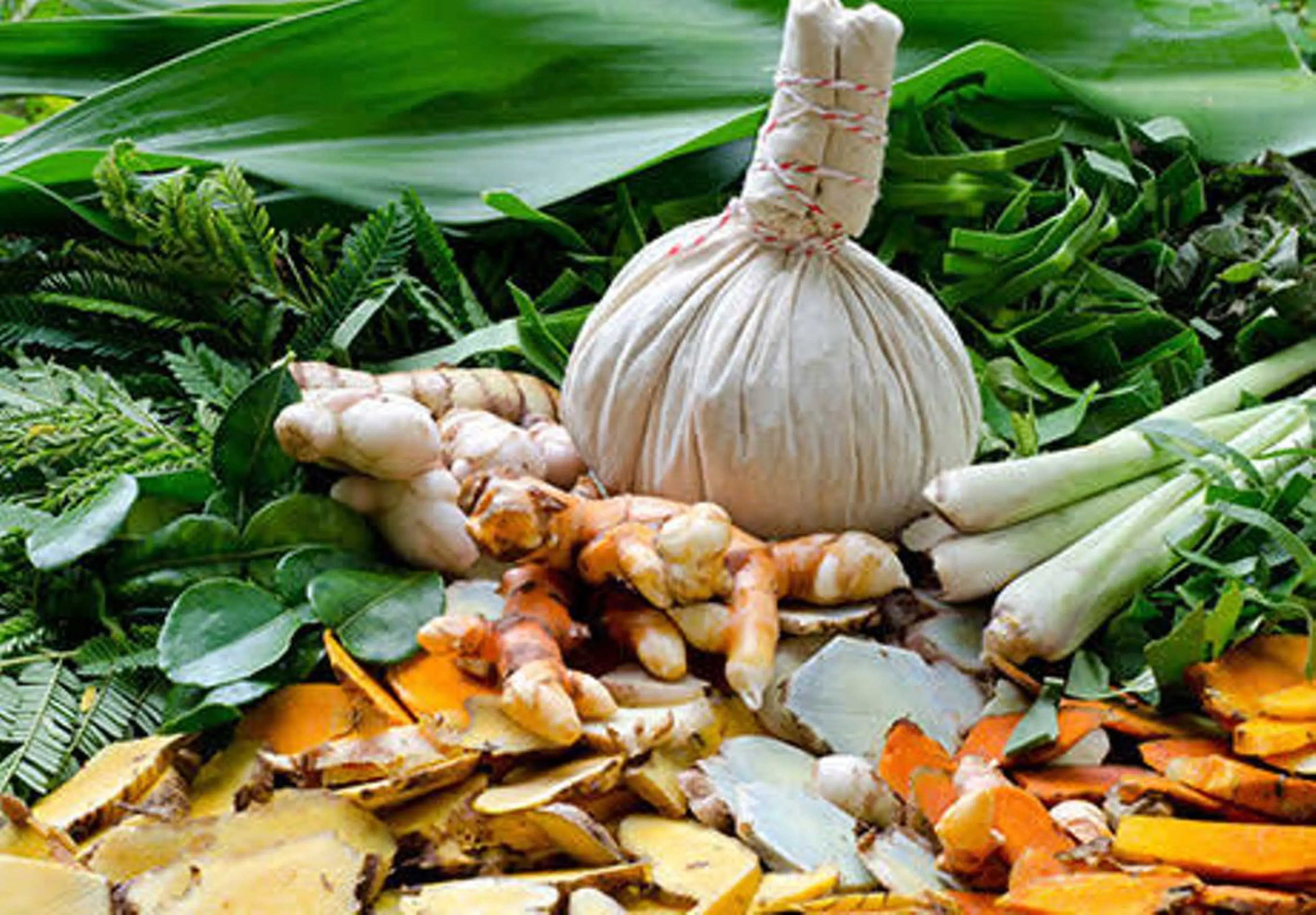 セミロング カラー パーマ ヘアアレンジ メンズ キッズ ネイル マツエク・マツパ 銀河 ティンガーラのヘアスタイル