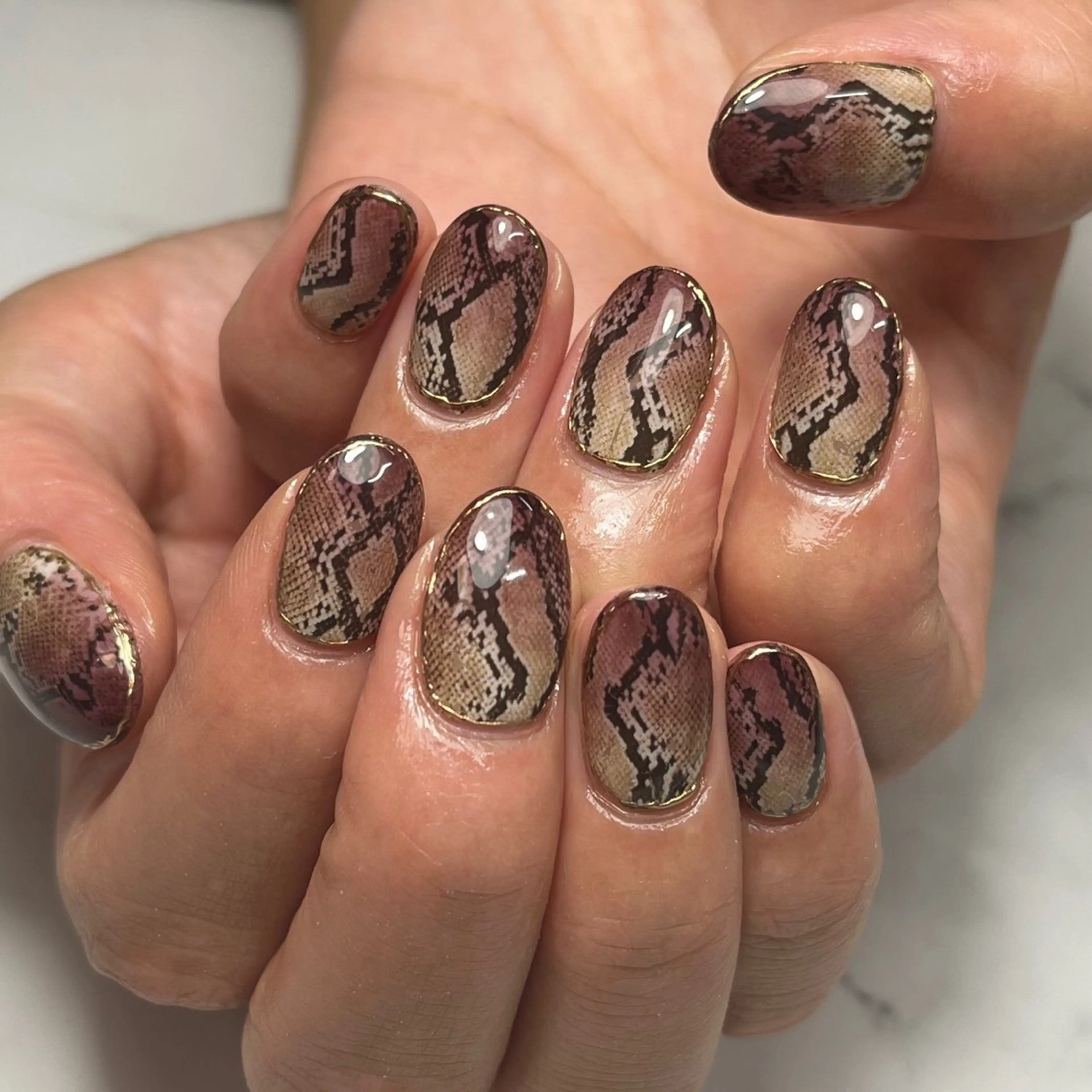 ネイル アニマル柄 ブラウン ワンカラーネイル ハンドネイル NAIL NOWのネイルデザイン