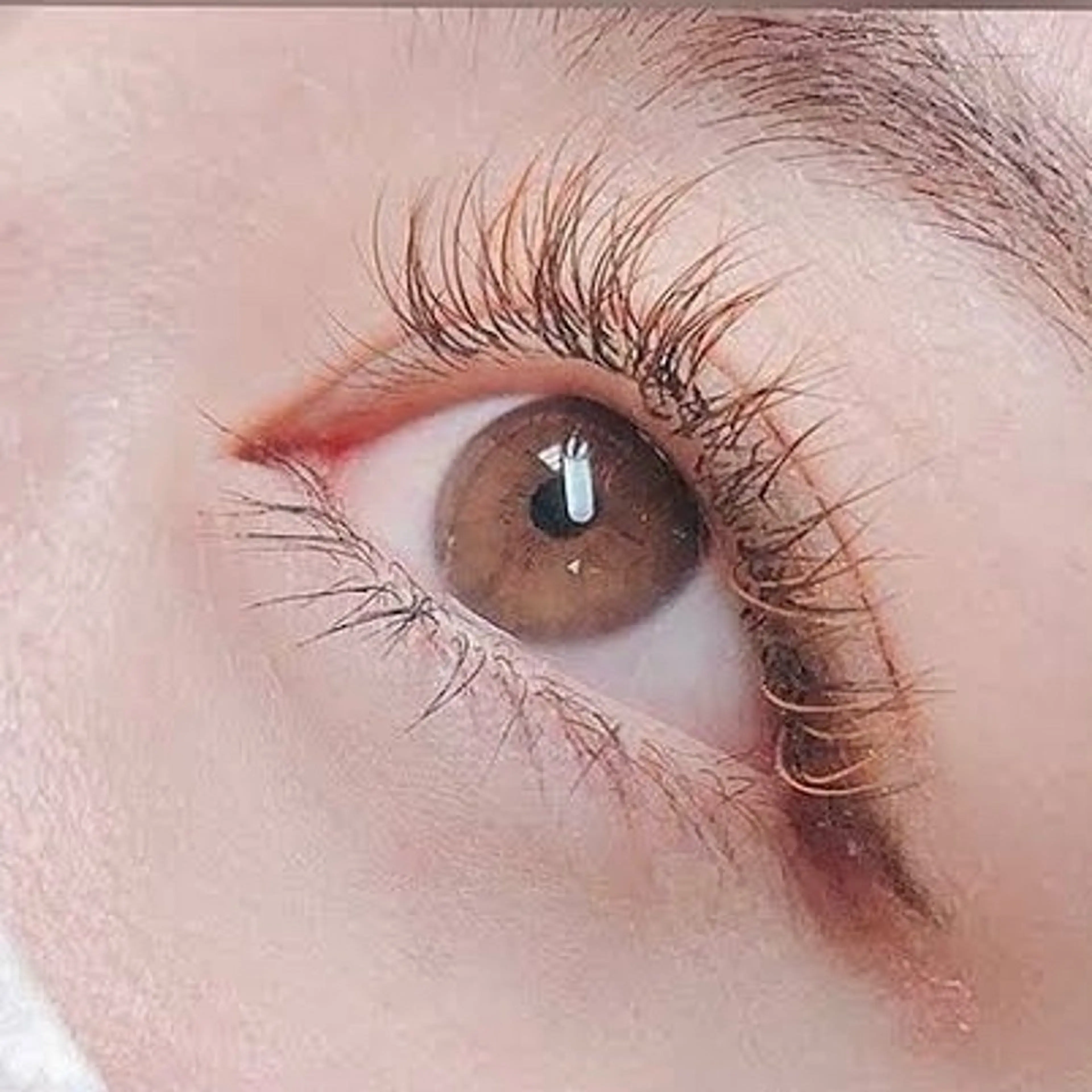 カラーエクステ【Cカールブラウン限定】フラットラッシュ120本の写真