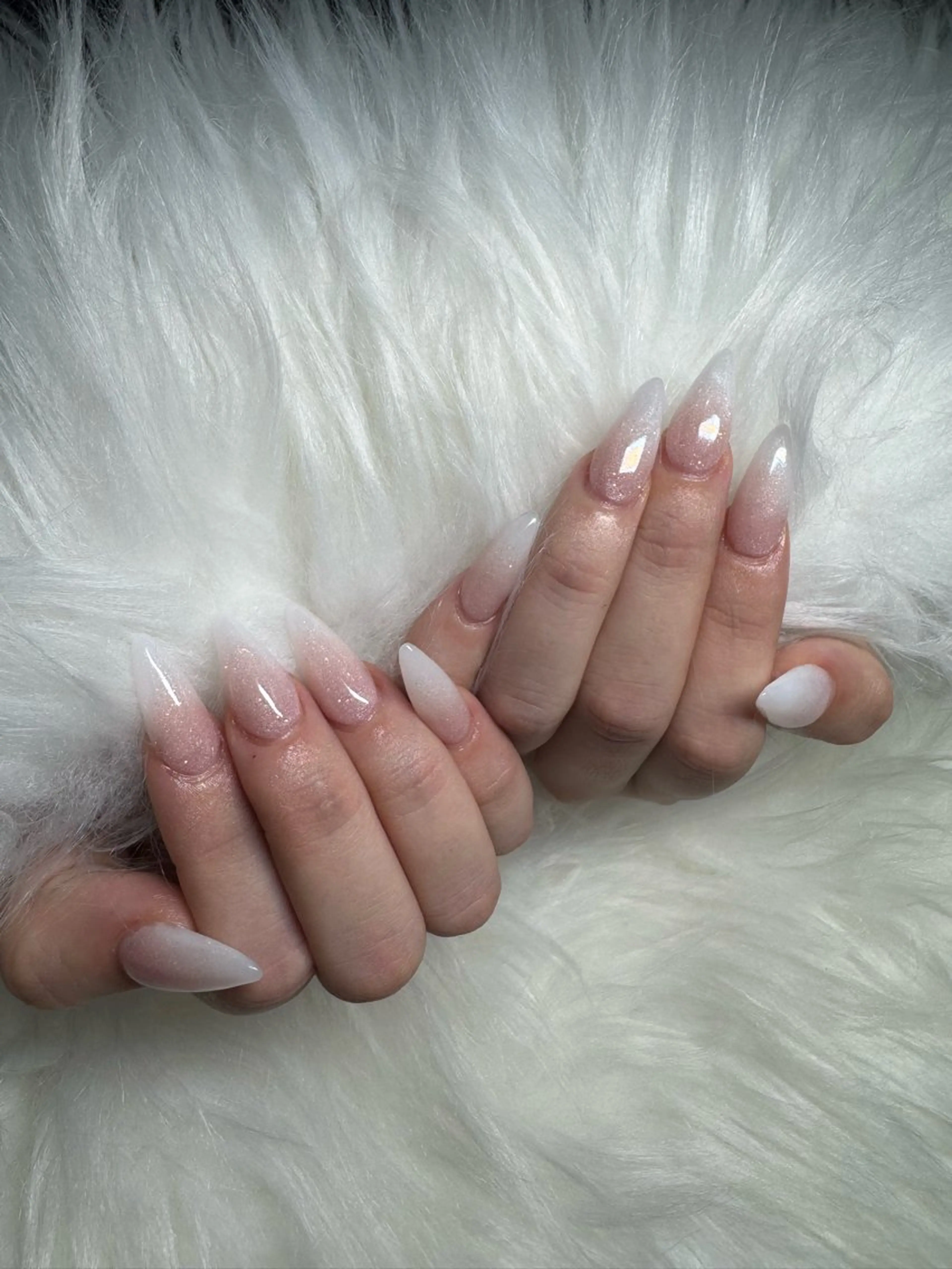 ベイビーブーマースカルプ[オフ無し]の写真