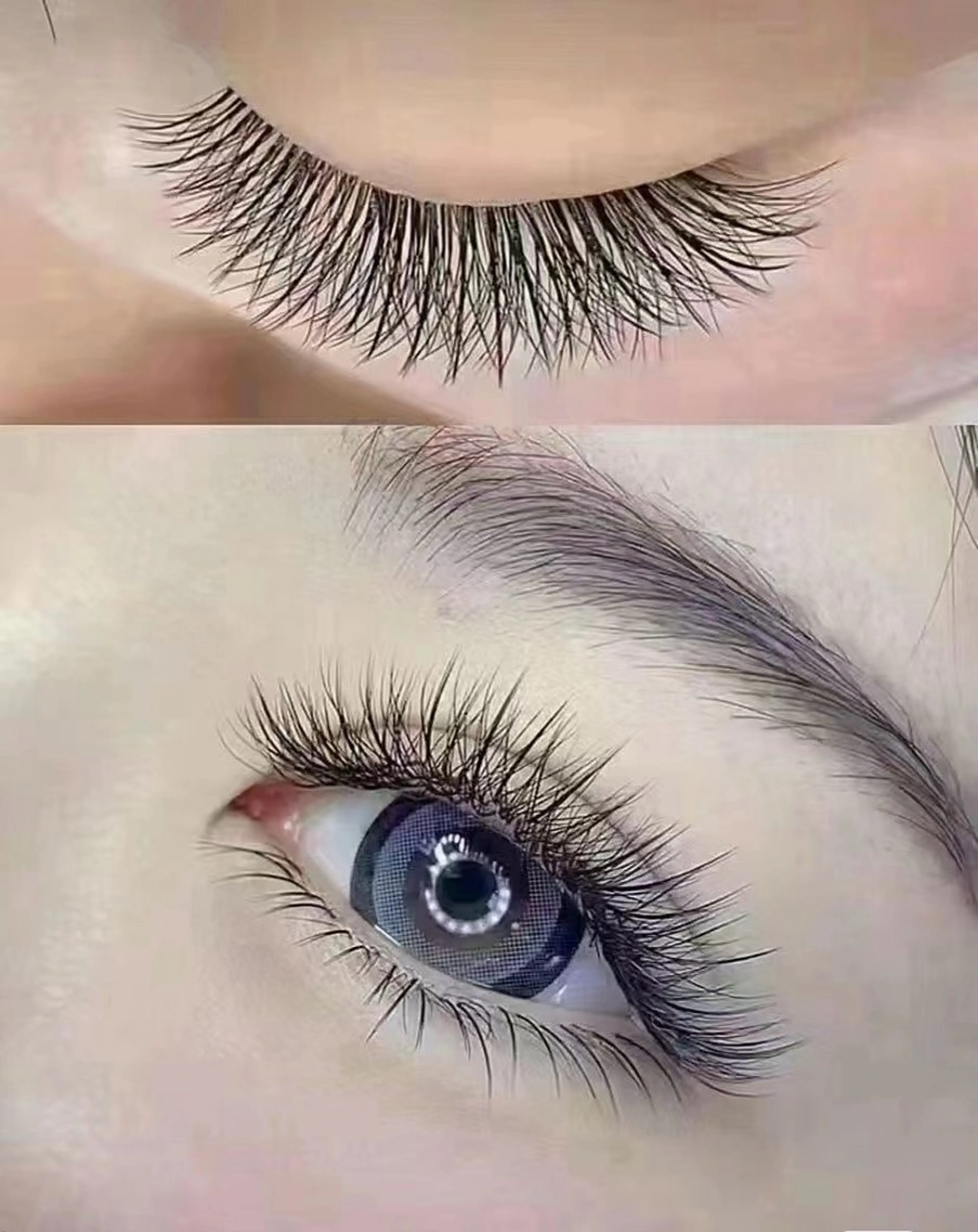 ボリュームラシュウ160本の写真