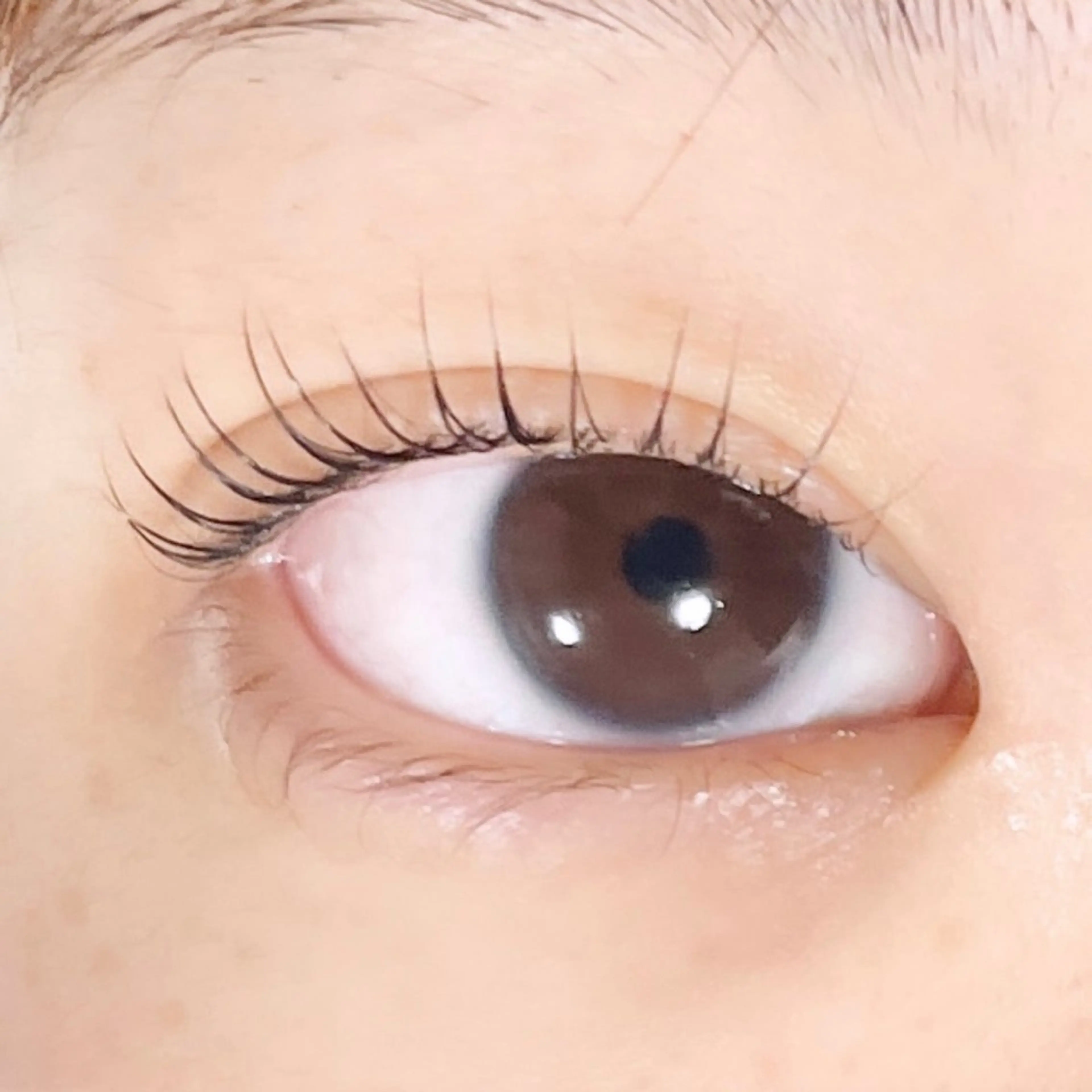 マツエク・マツパ TAKEO🖤 マリーテレジア藤が丘のマツエク・マツパデザイン