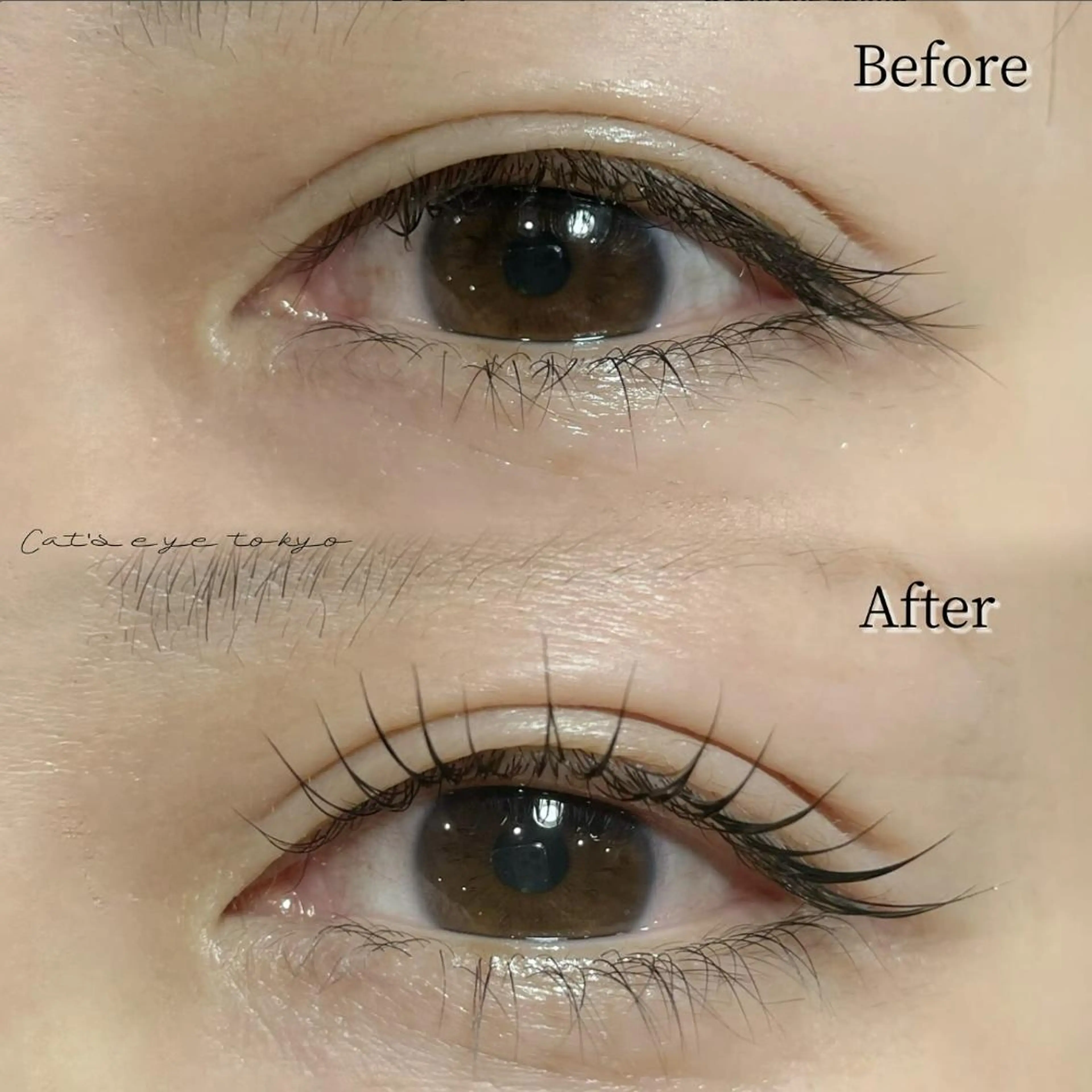 マツエク・マツパ まつげパーマ 一重×まつ毛パーマ Cat's eye TOKYO 新宿店のネイルデザイン