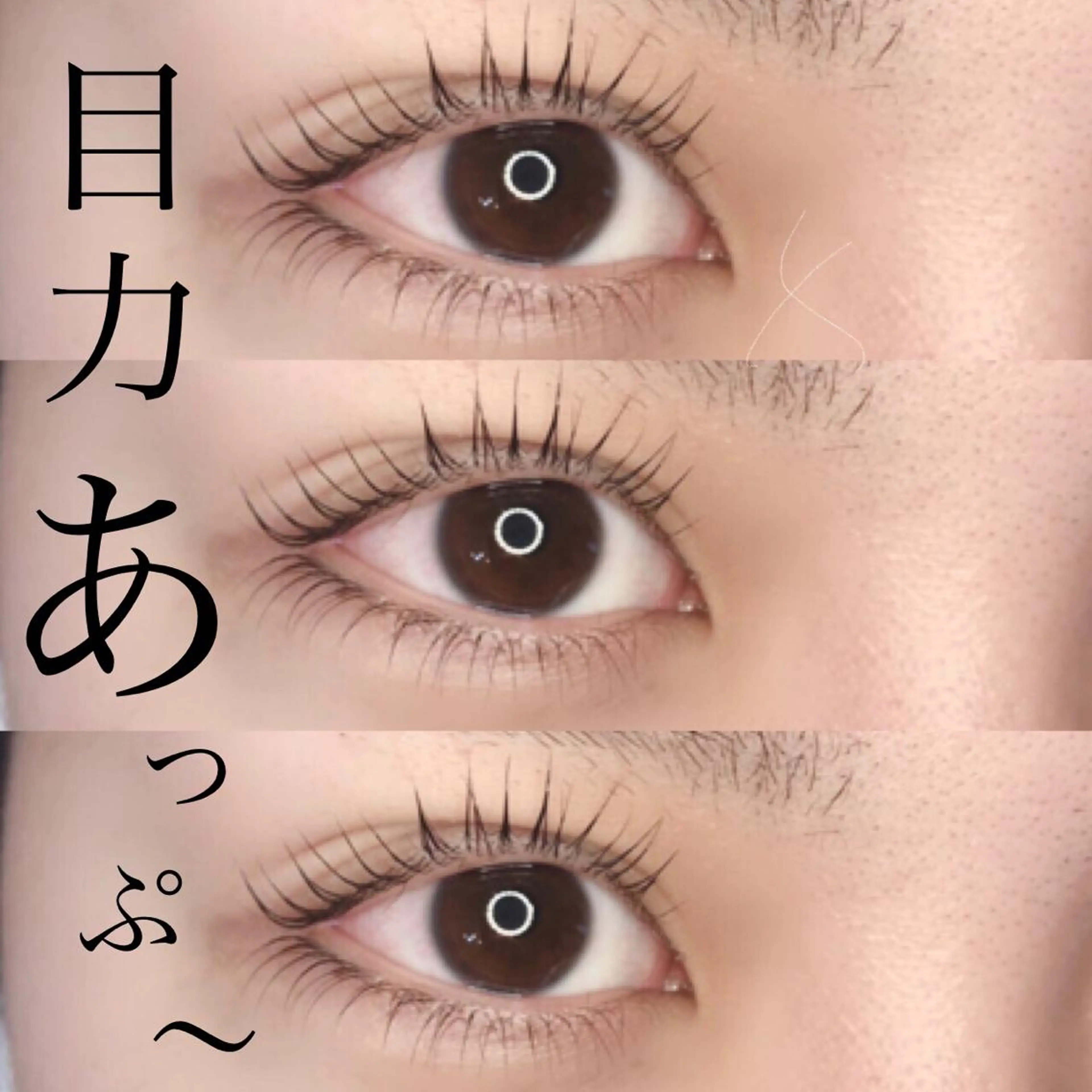 マツエク・マツパ マツパ 《eyelash ｉｉｔｅ》森のマツエク・マツパデザイン