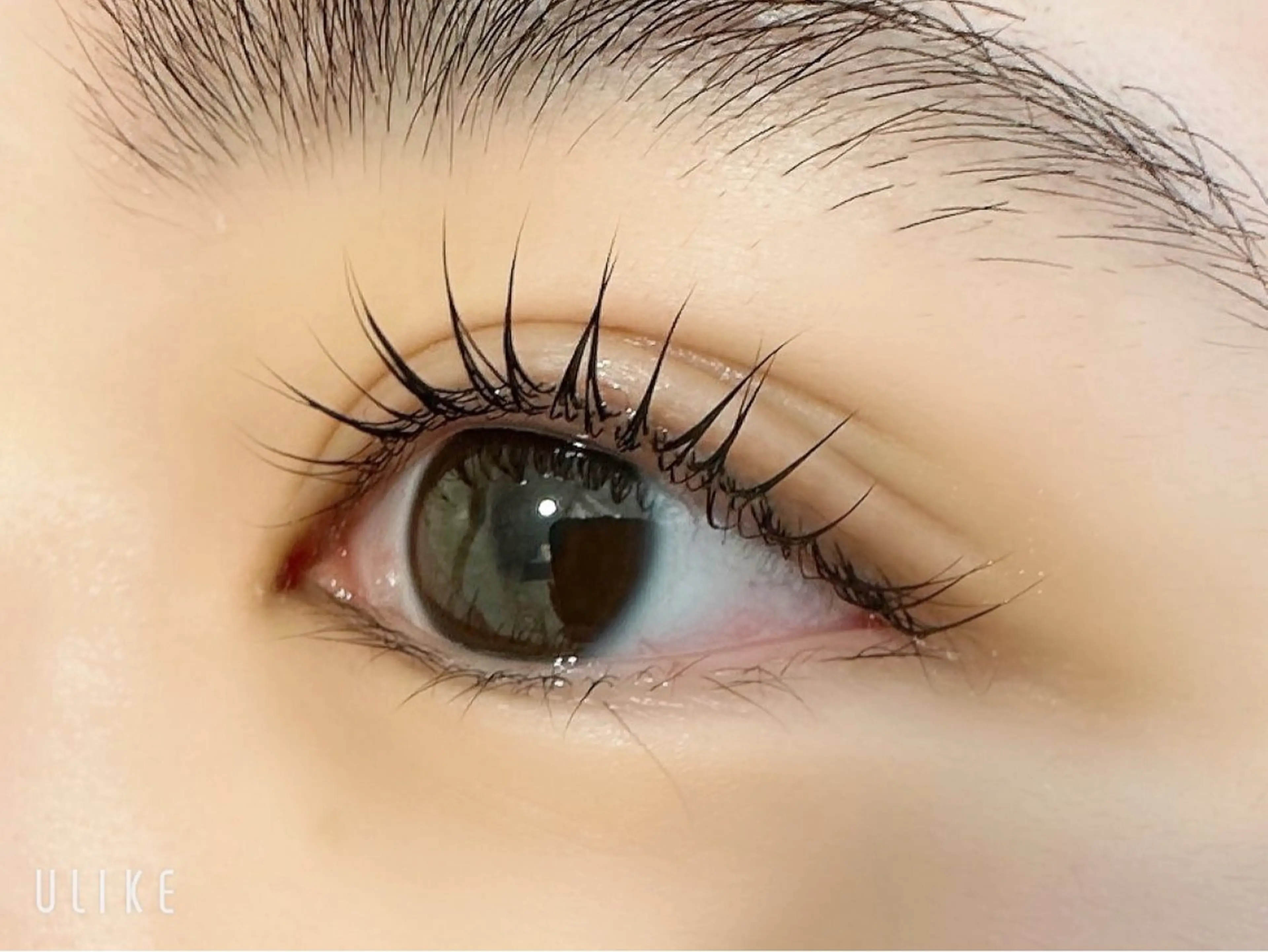 マツエク・マツパ マツパ ANCIL 🎡今野🎡のマツエク・マツパデザイン