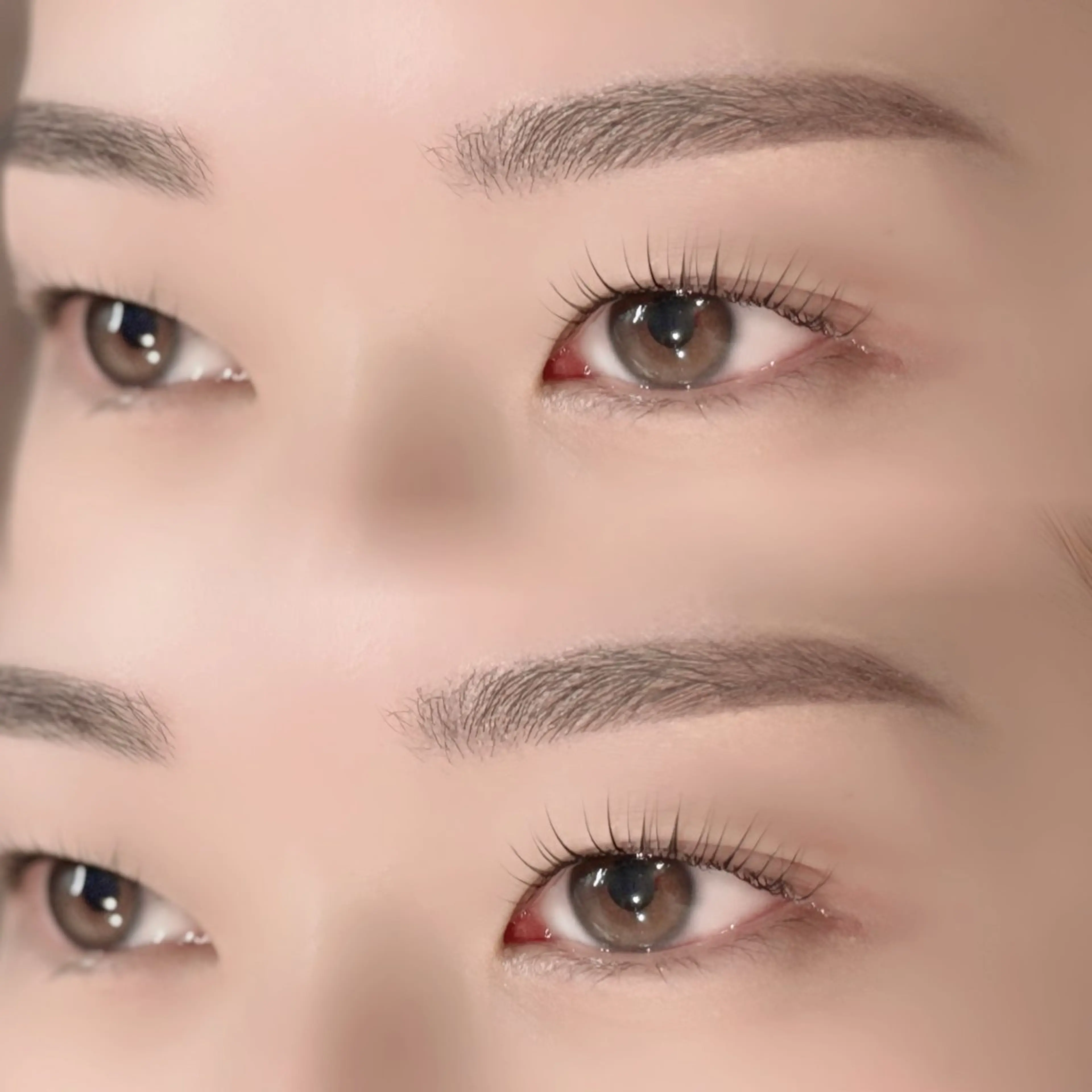 当日次回予約限定🍀✨ラッシュリフト、アイブロウセット🫧の写真