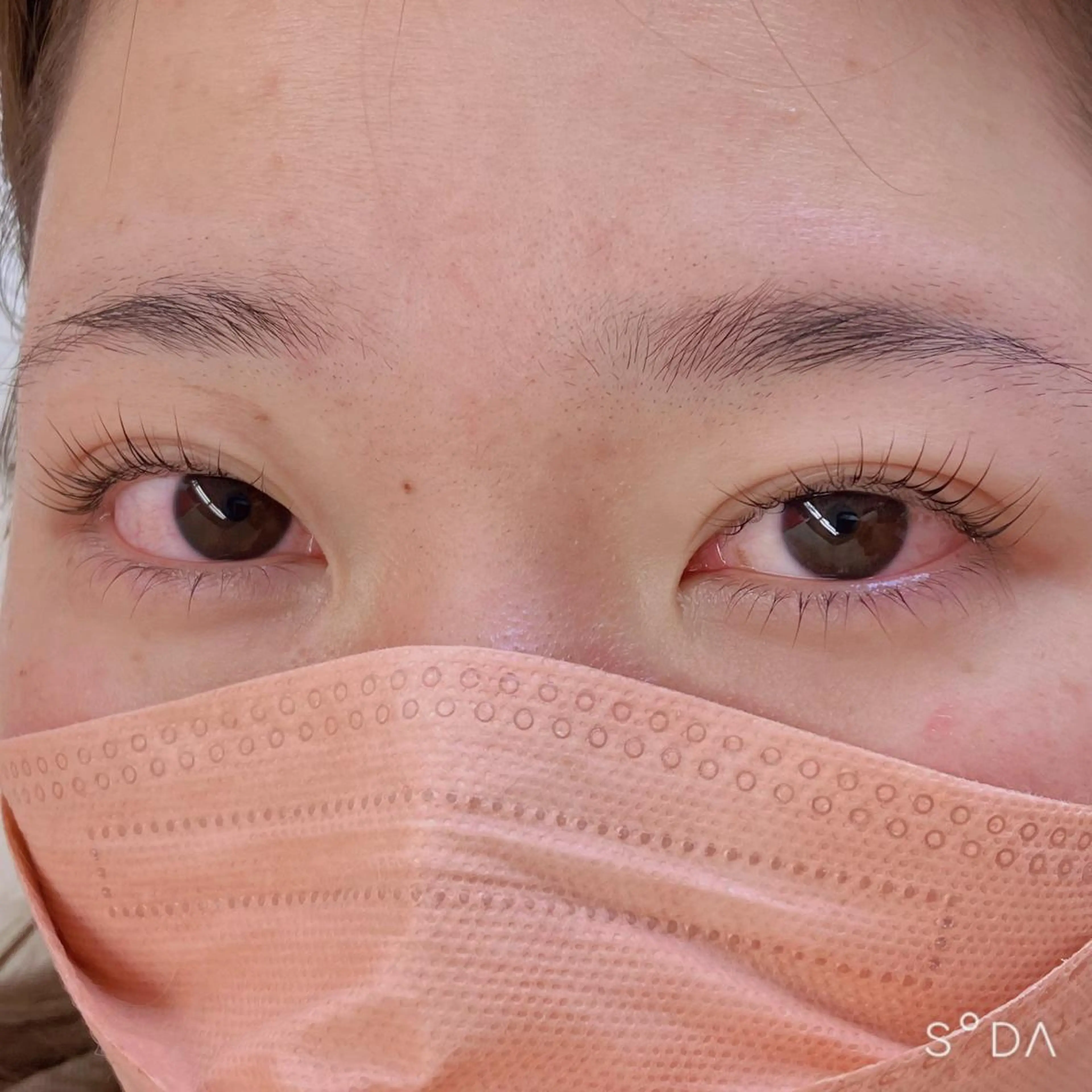 マツエク・マツパ ナチュラル まつげパーマ 下まつげエクステ フジ ワラの眉毛・アイブロウイメージ