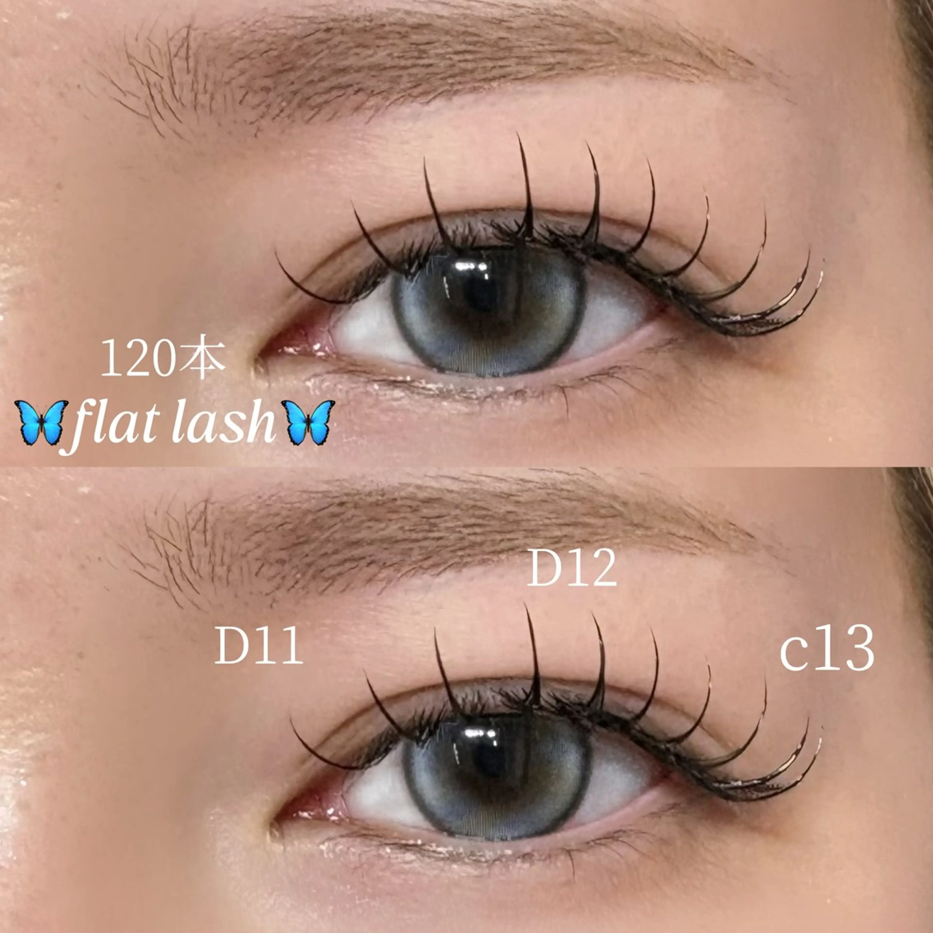 ⭐️フラットラッシュ120本⭐️【オフ込み】の写真