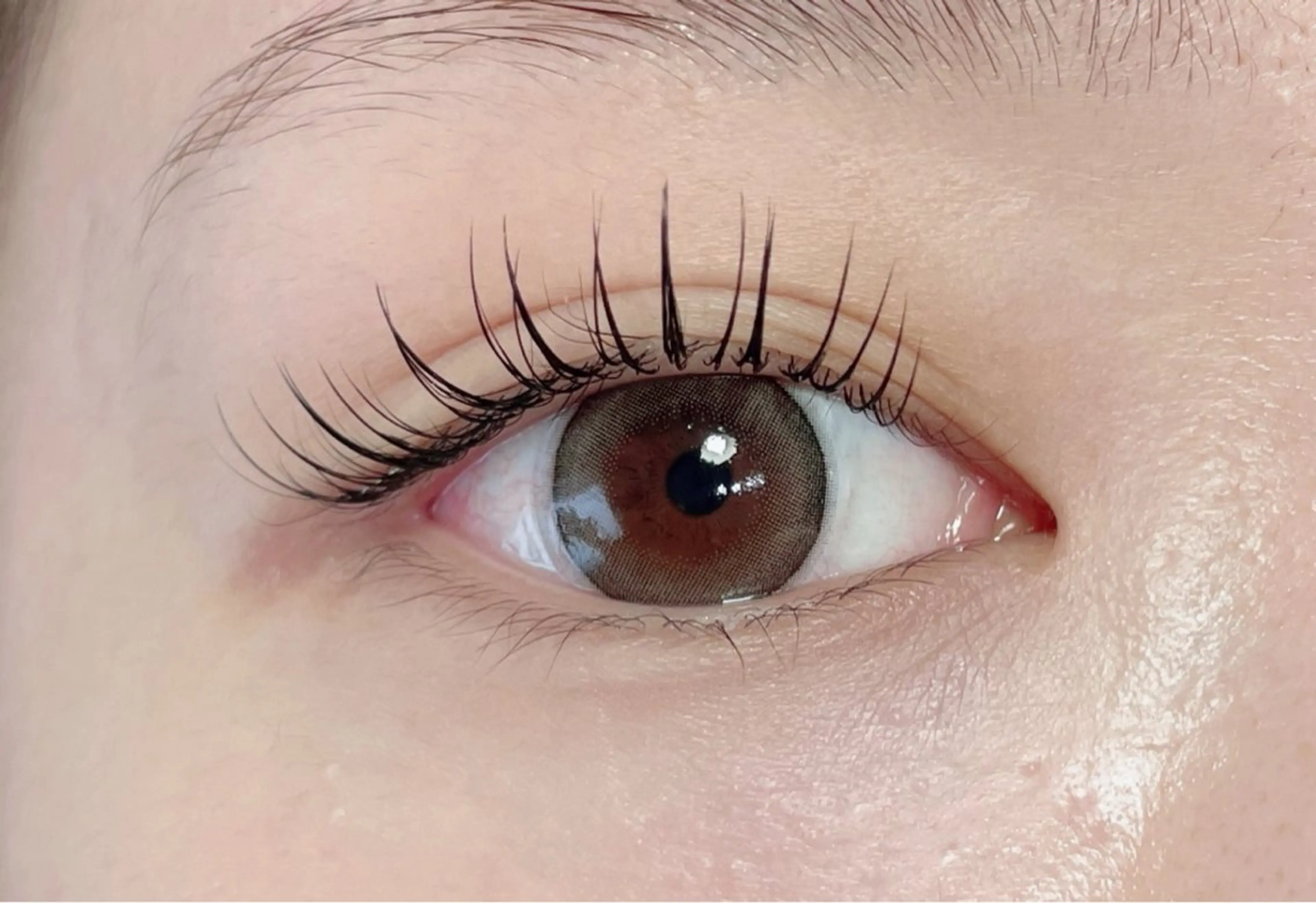 フラットラッシュ🌷120本（オフなし）リペアも可◎の写真