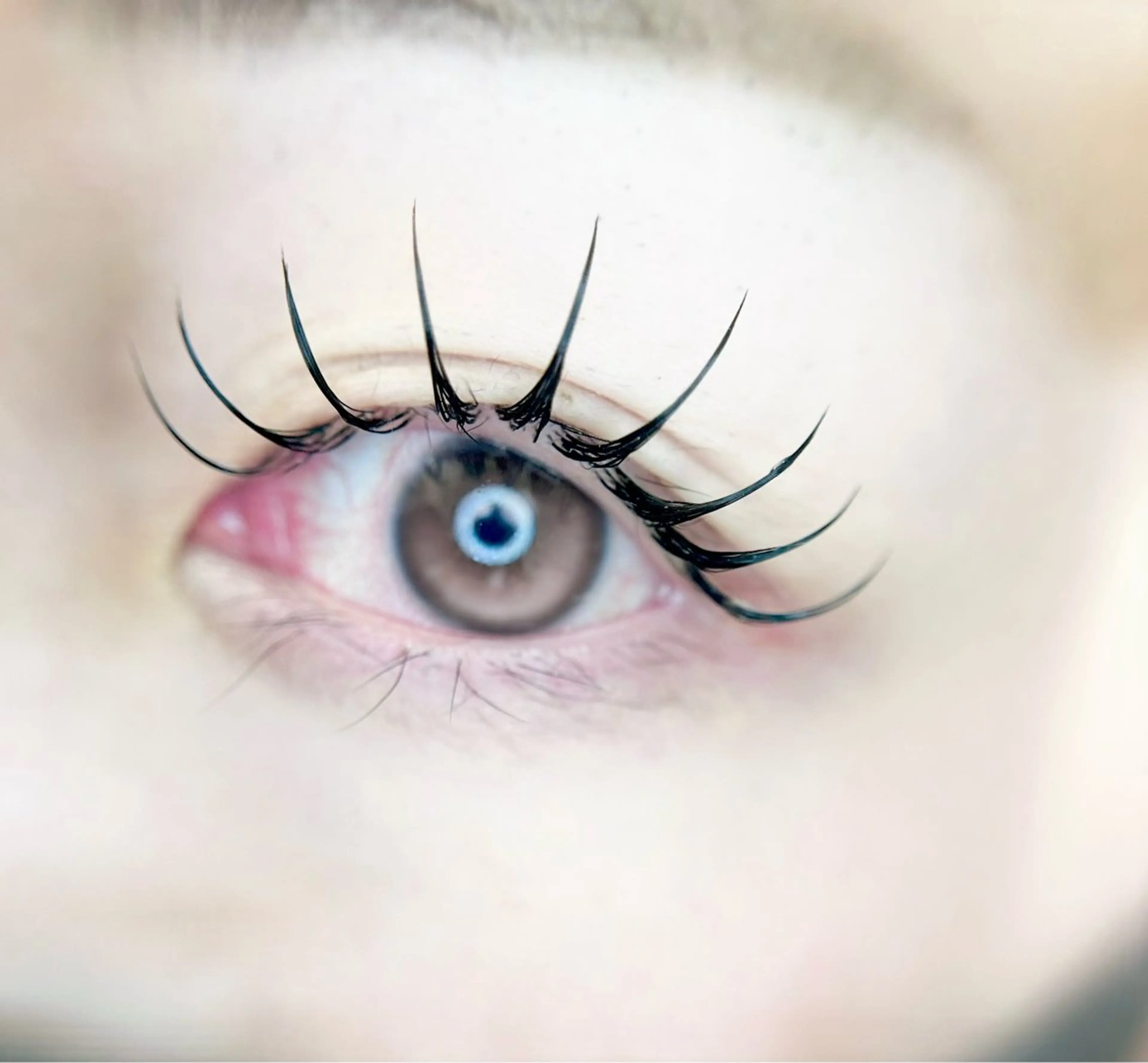 マツエク・マツパ マツエク eyelist. mizuki🐈⬛の眉毛・アイブロウイメージ