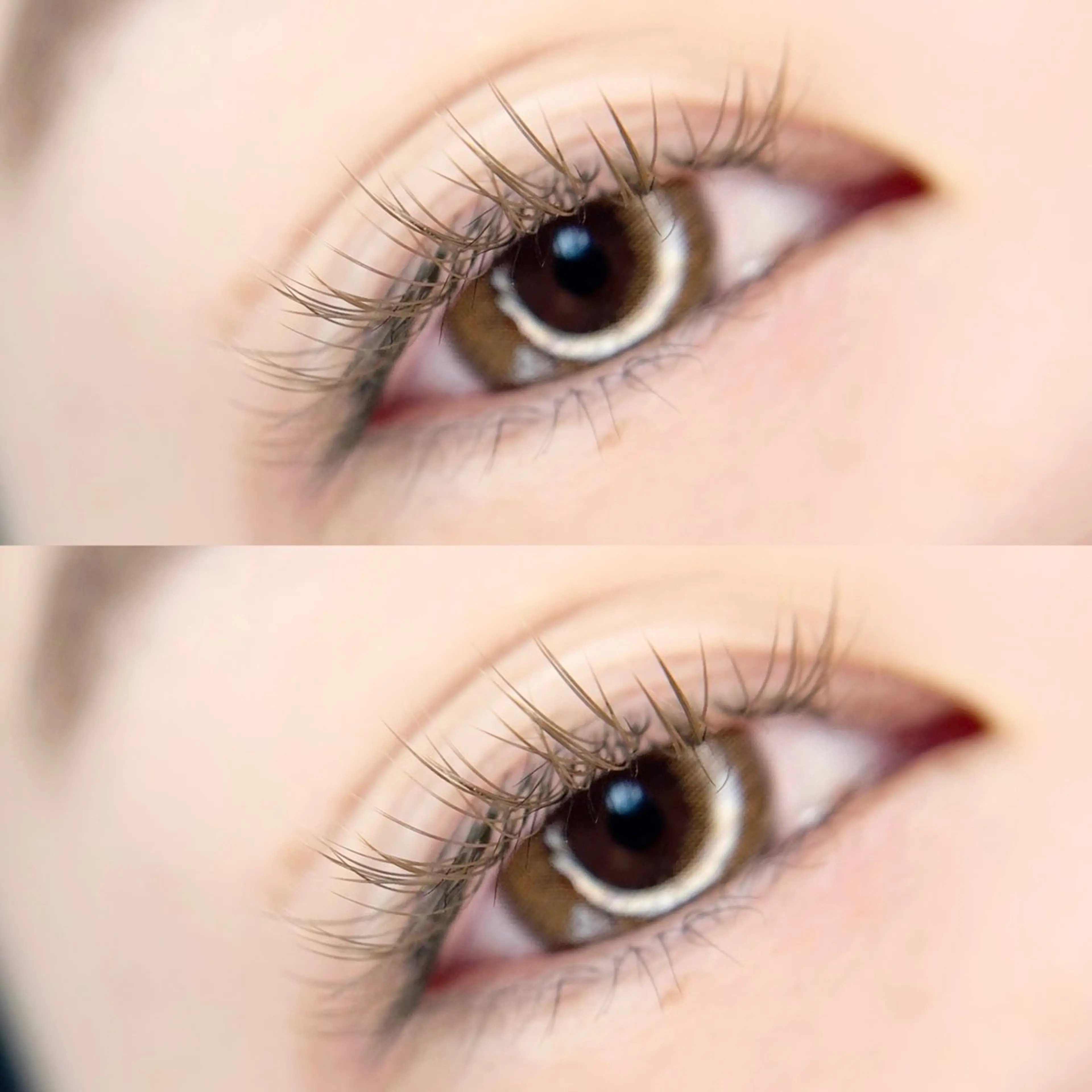 マツエク・マツパ マツエク peTiT京橋店🌷 YAMASAKIのマツエク・マツパデザイン