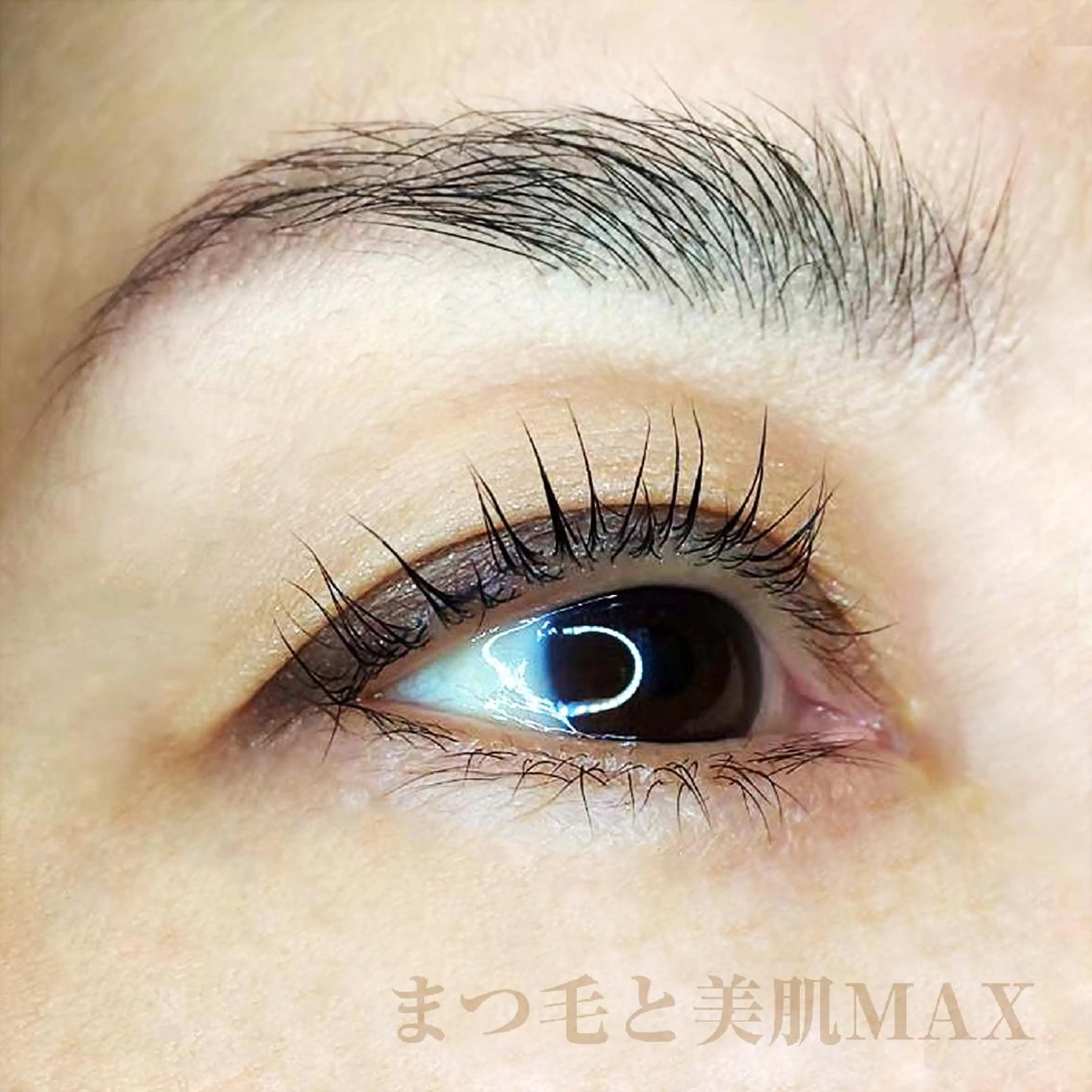 マツエク・マツパ まつげパーマ マツパ MAXまつ毛&  フェイシャルのマツエク・マツパデザイン