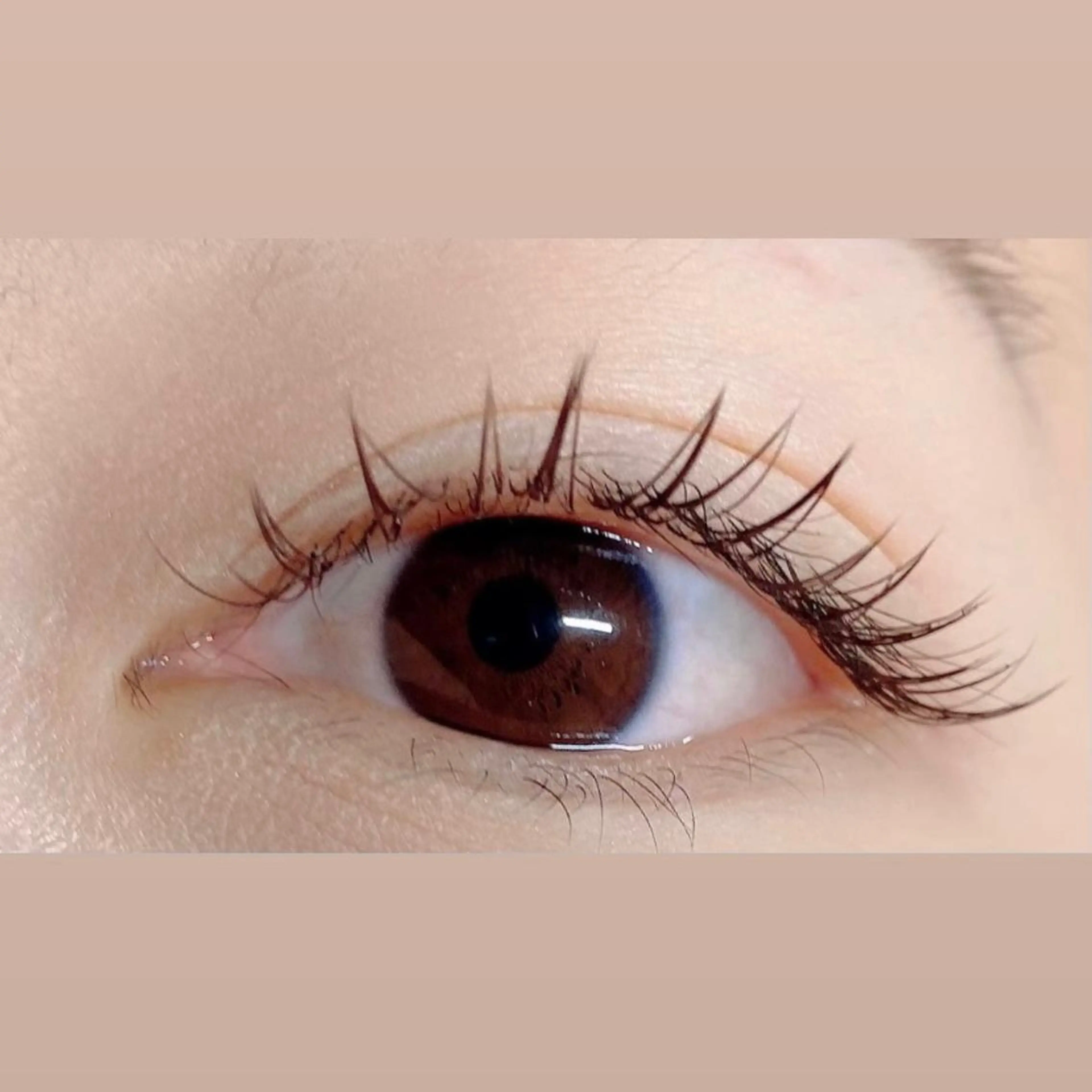 マツエク・マツパ フラットラッシュ eyelash clear池袋のマツエク・マツパデザイン