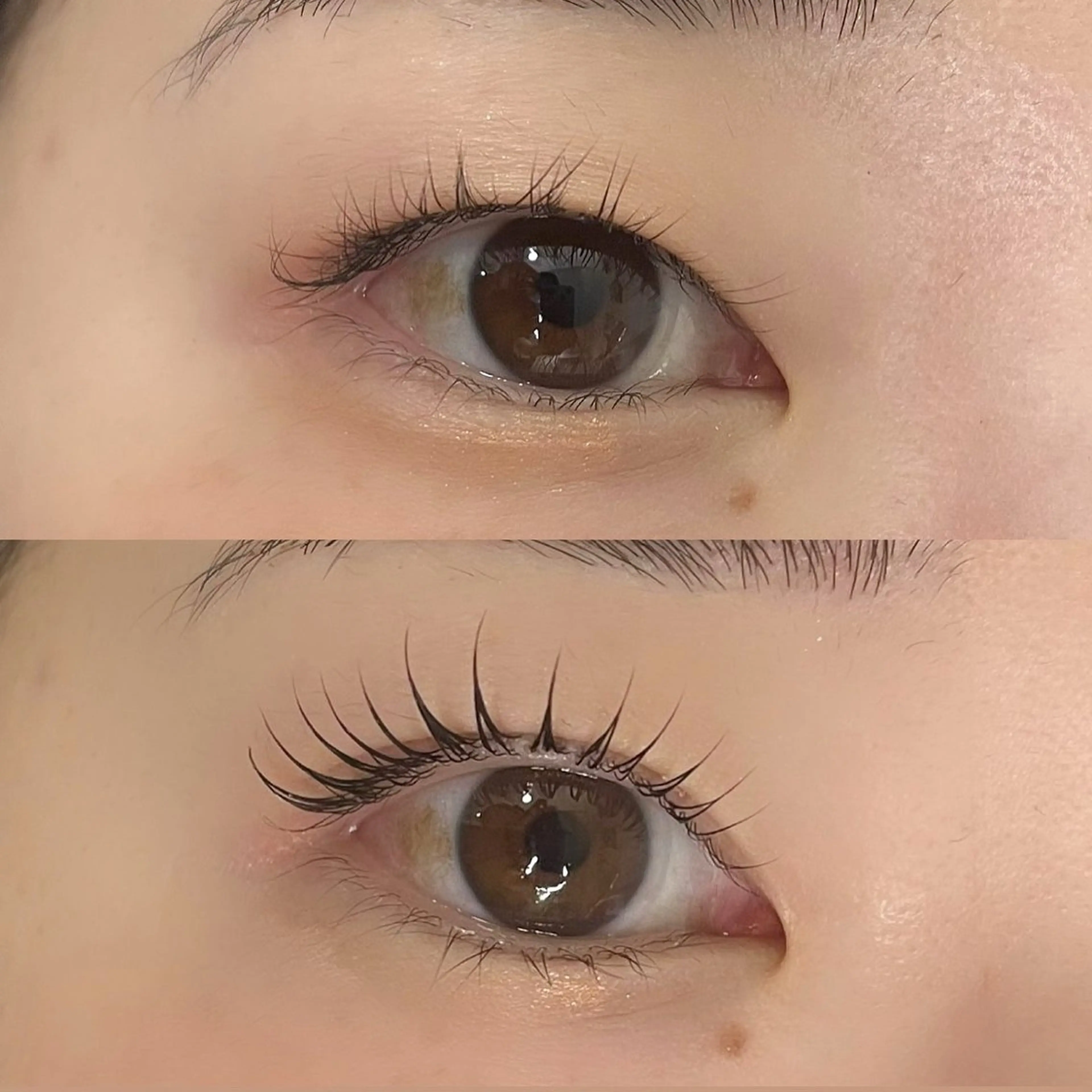 マツエク・マツパ まつげパーマ THE EYEBROW 恵比寿店所属・maari🪽 まつパ/美眉のマツエク・マツパデザイン