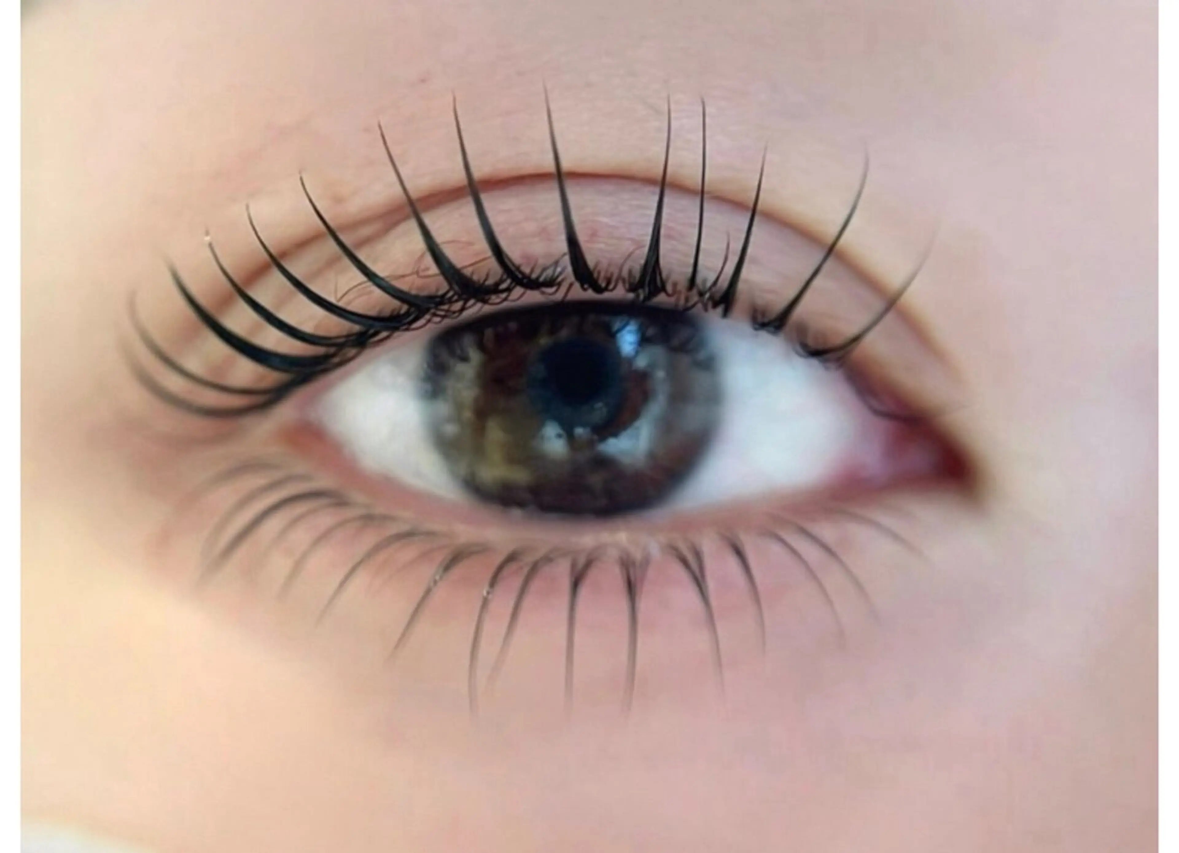 マツエク・マツパ マツパ アレグレス所属・アレグレス@池袋 🌹大人気店🌹のマツエク・マツパデザイン