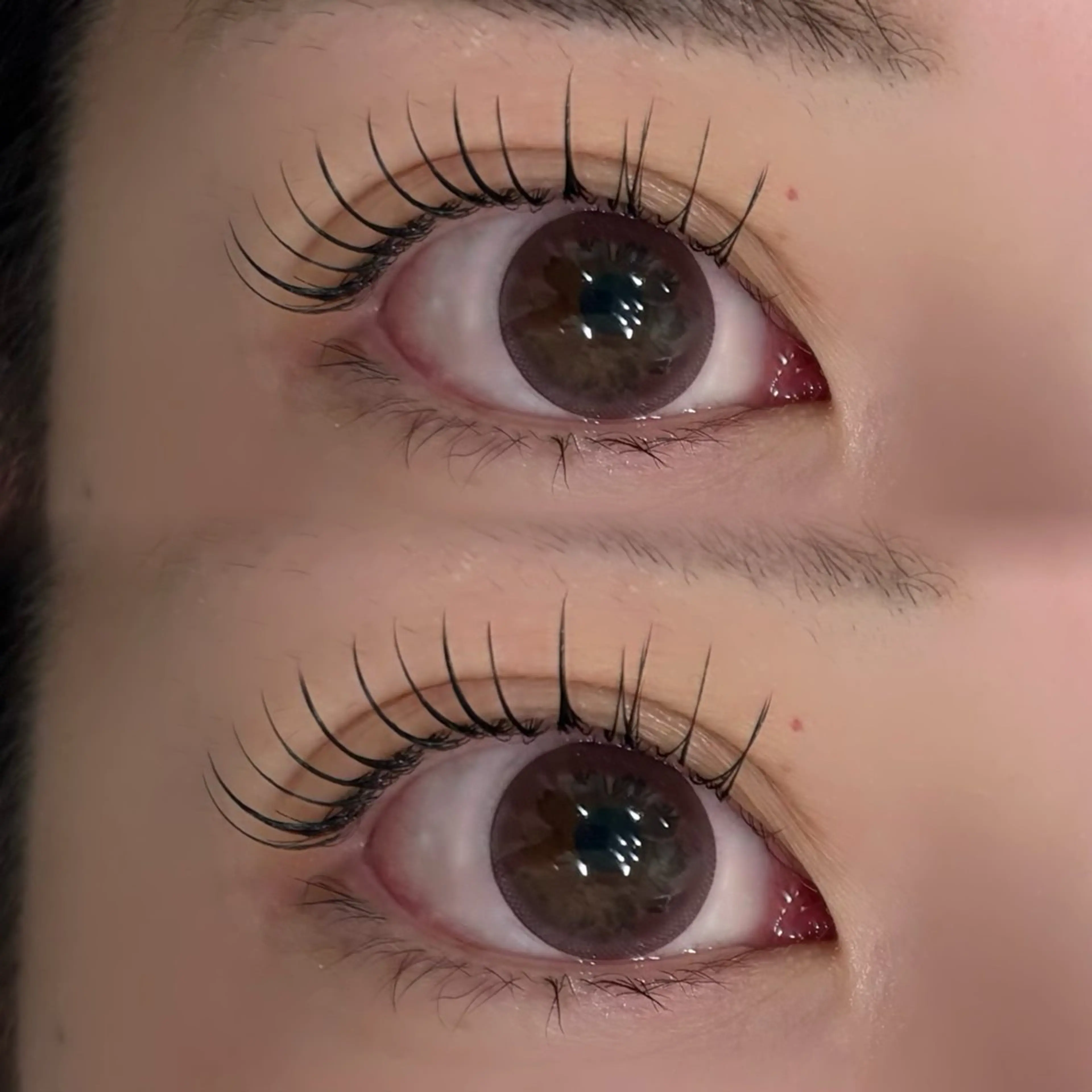 マツエク・マツパ EYELA Cocona🪽🫧のマツエク・マツパデザイン