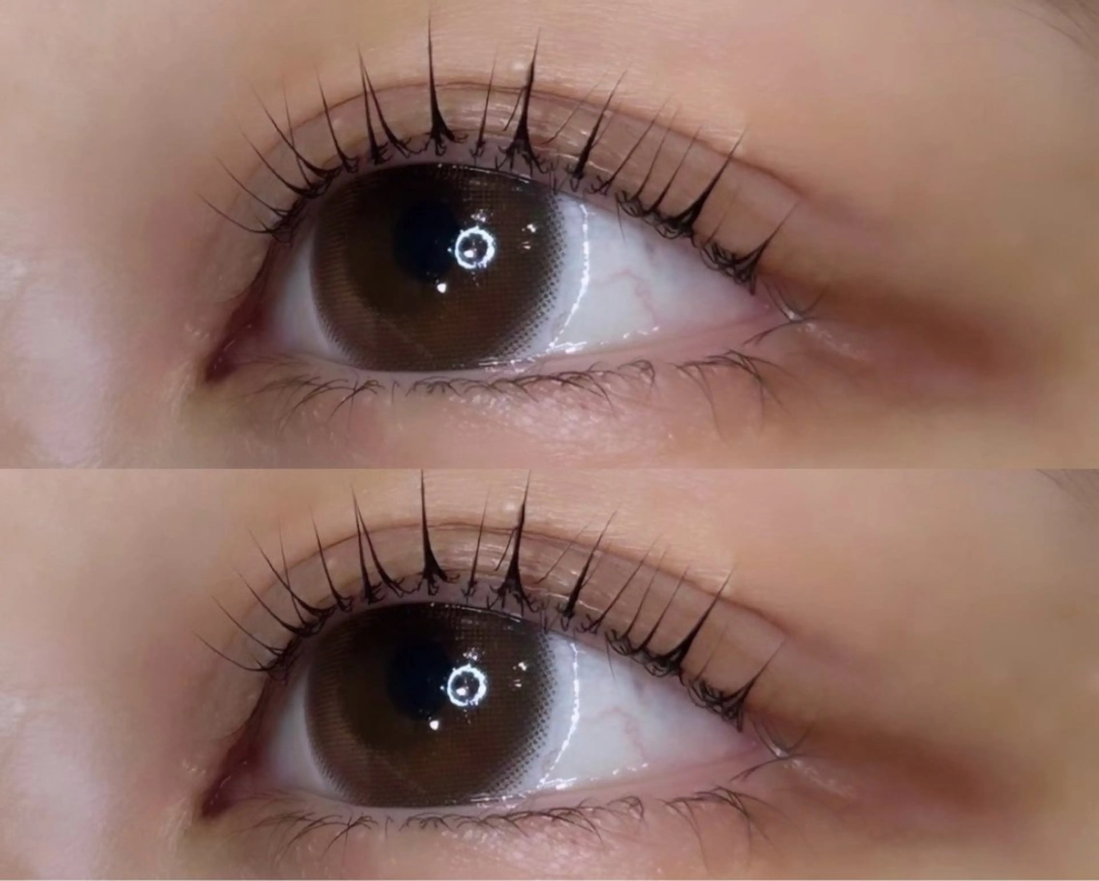 マツエク・マツパ eve🐰束間まつ毛 /透明感カラーのマツエク・マツパデザイン