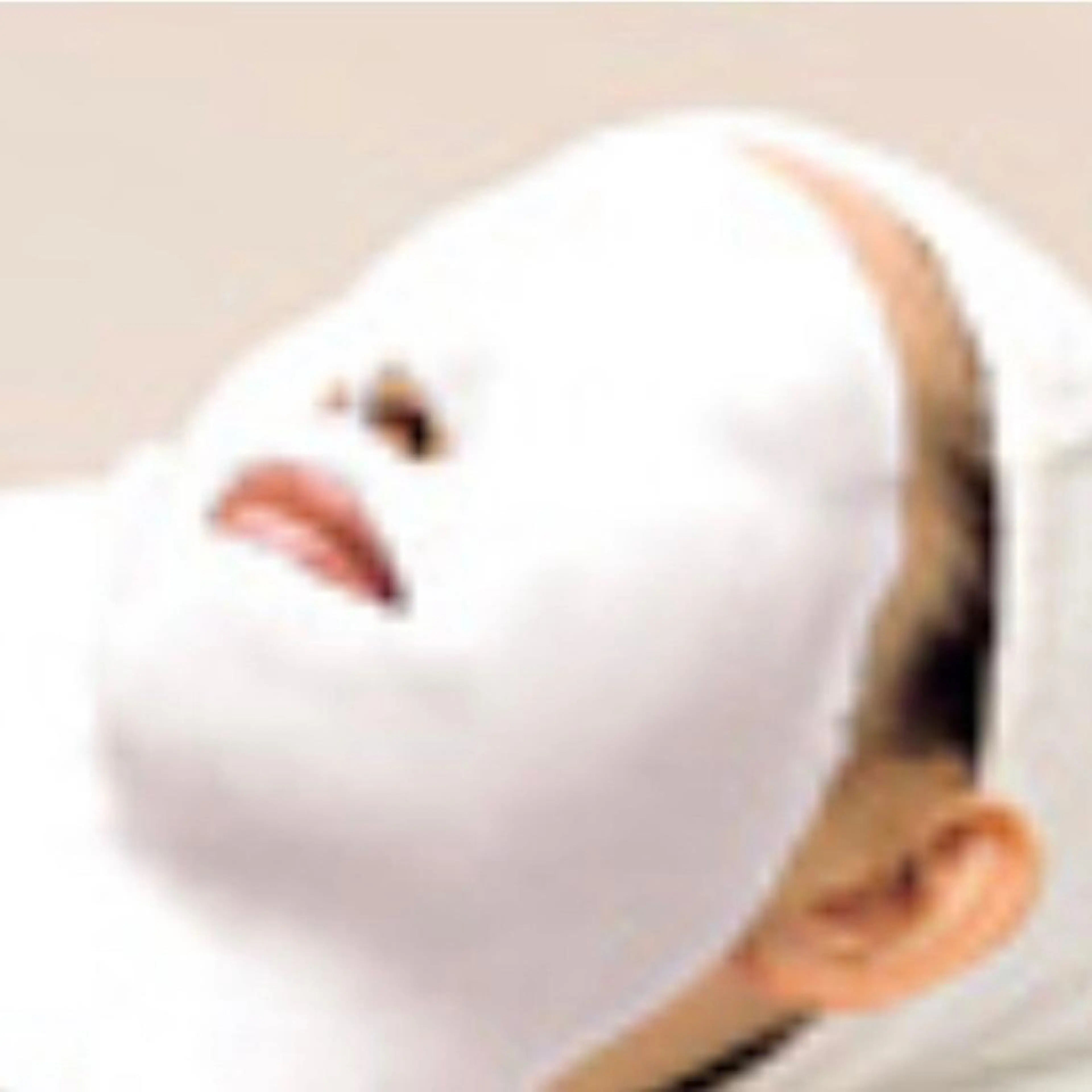 エステ リラク 高岡⌇ Ayaka🌻のエステ・リラクイメージ