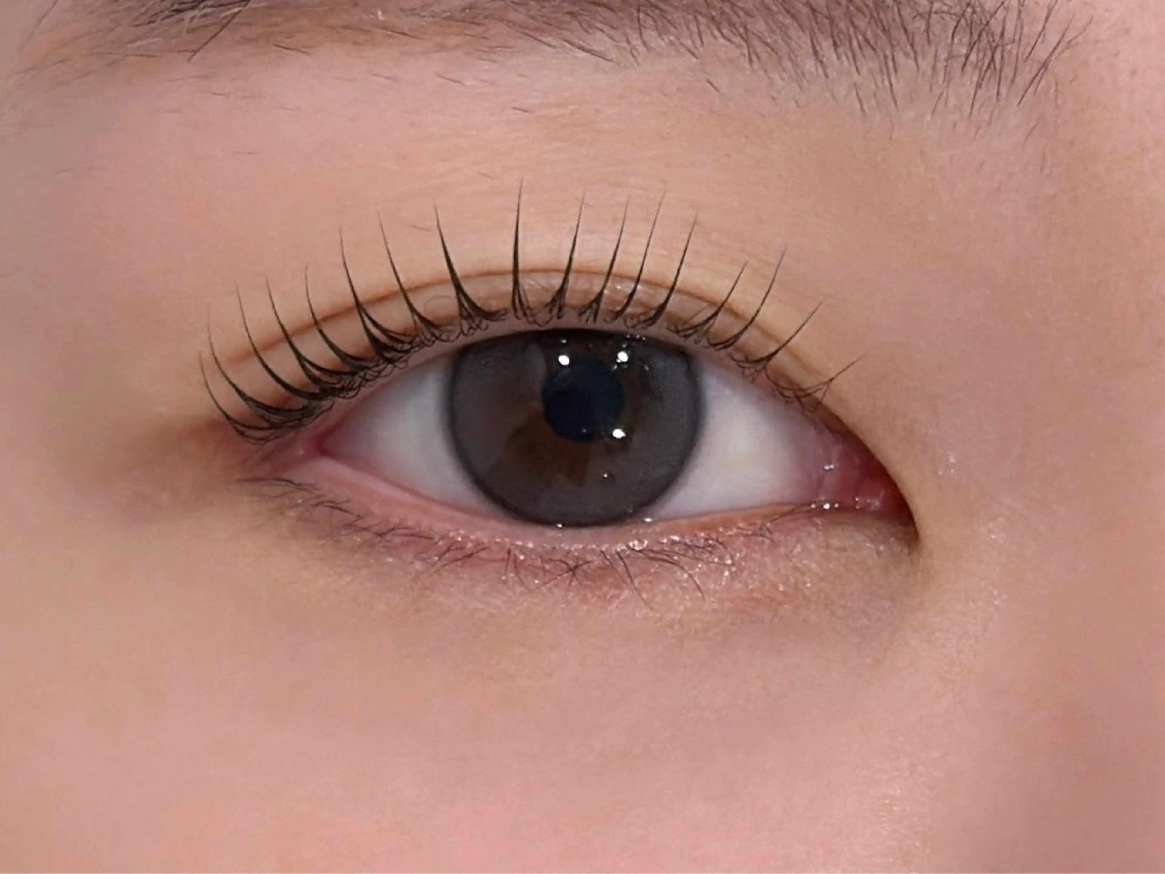 マツエク・マツパ マツパ 🫧韓国風束感まつ毛 /あかね/美眉🫧のマツエク・マツパデザイン